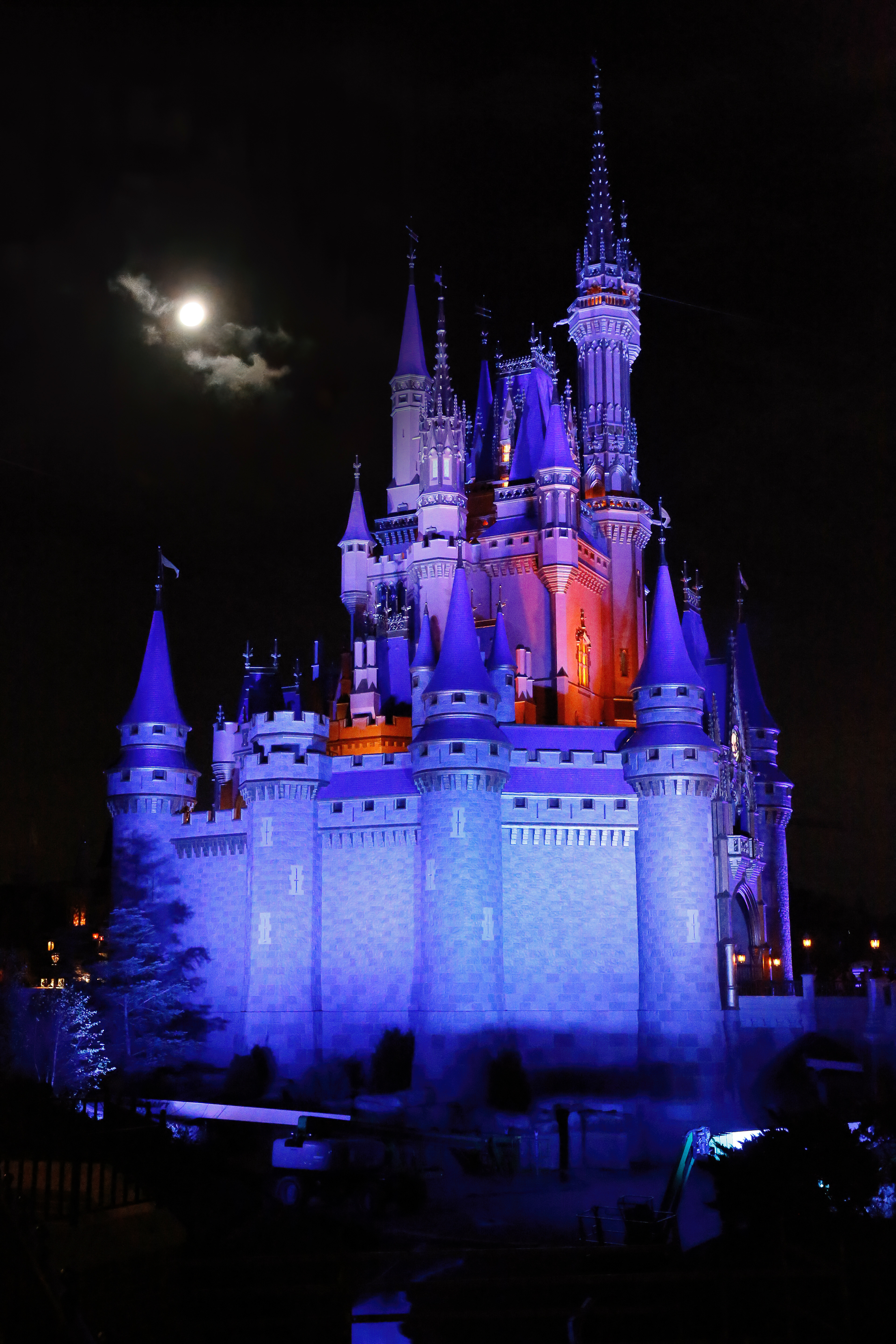 Magic Castle - Disney World