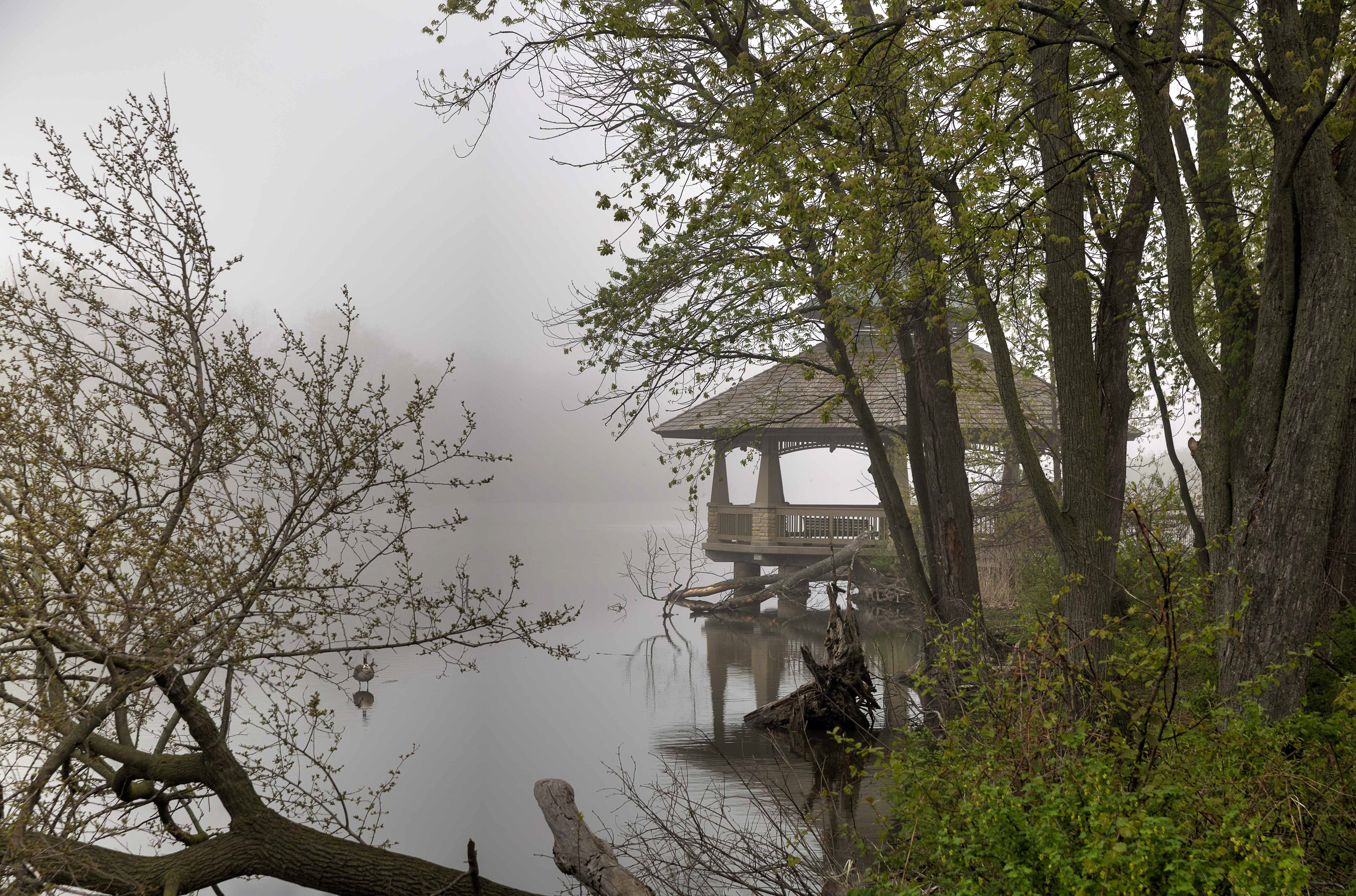 Gazebo and the Pond Batavia