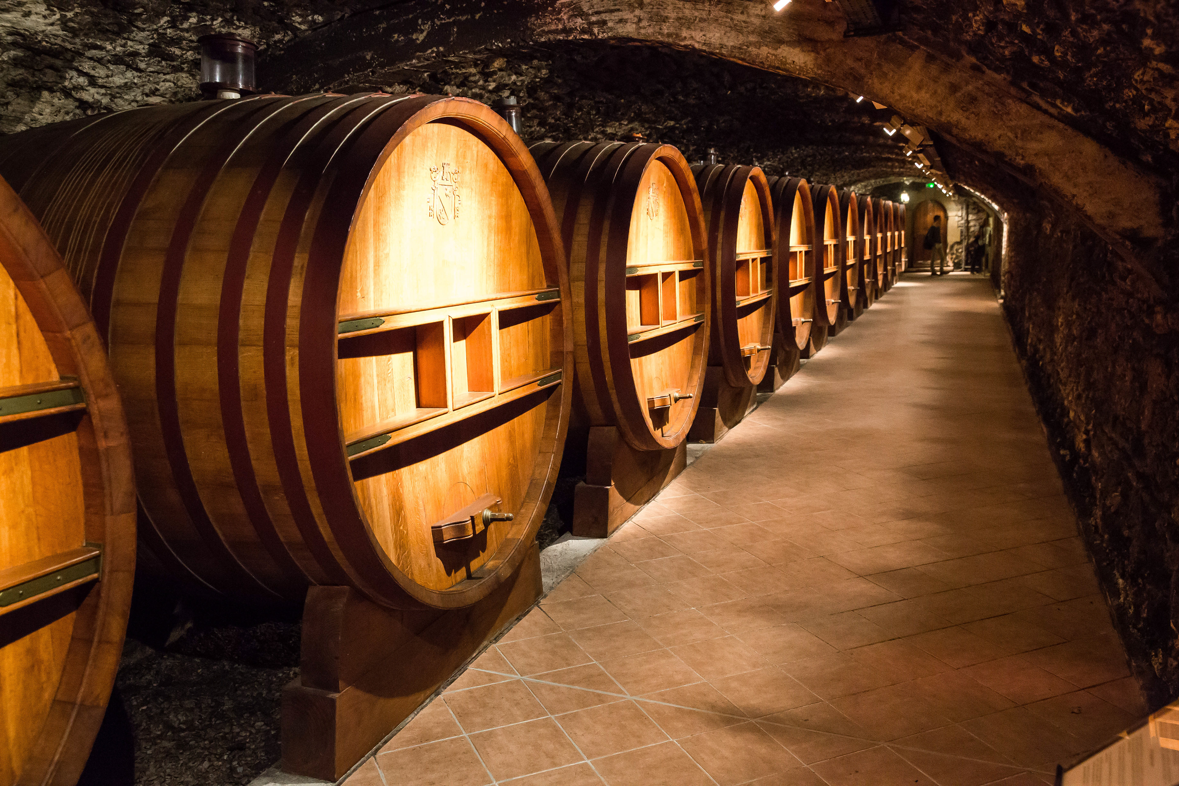 Wine Cellar in Southern France