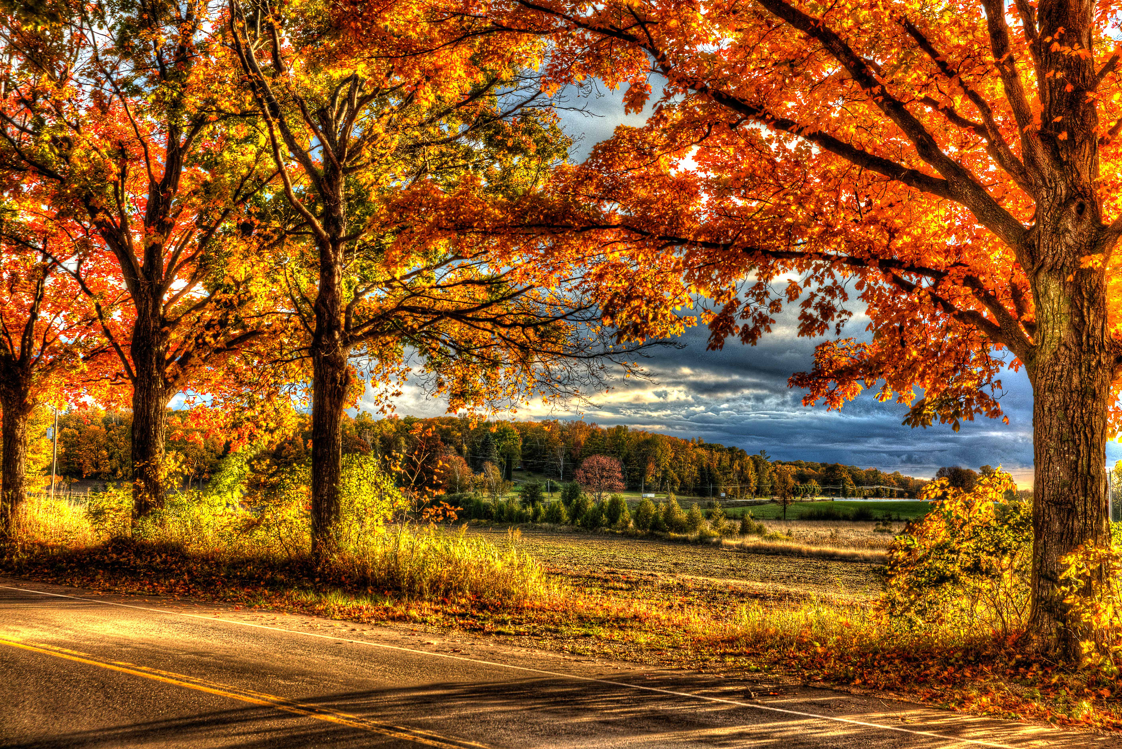 Fall Colors Door County WI
