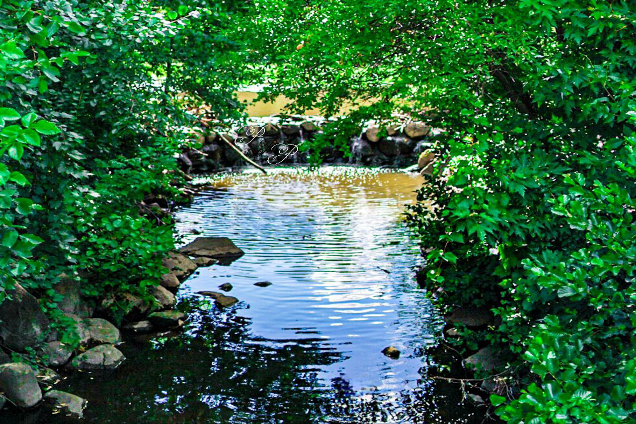 Whitnall Park