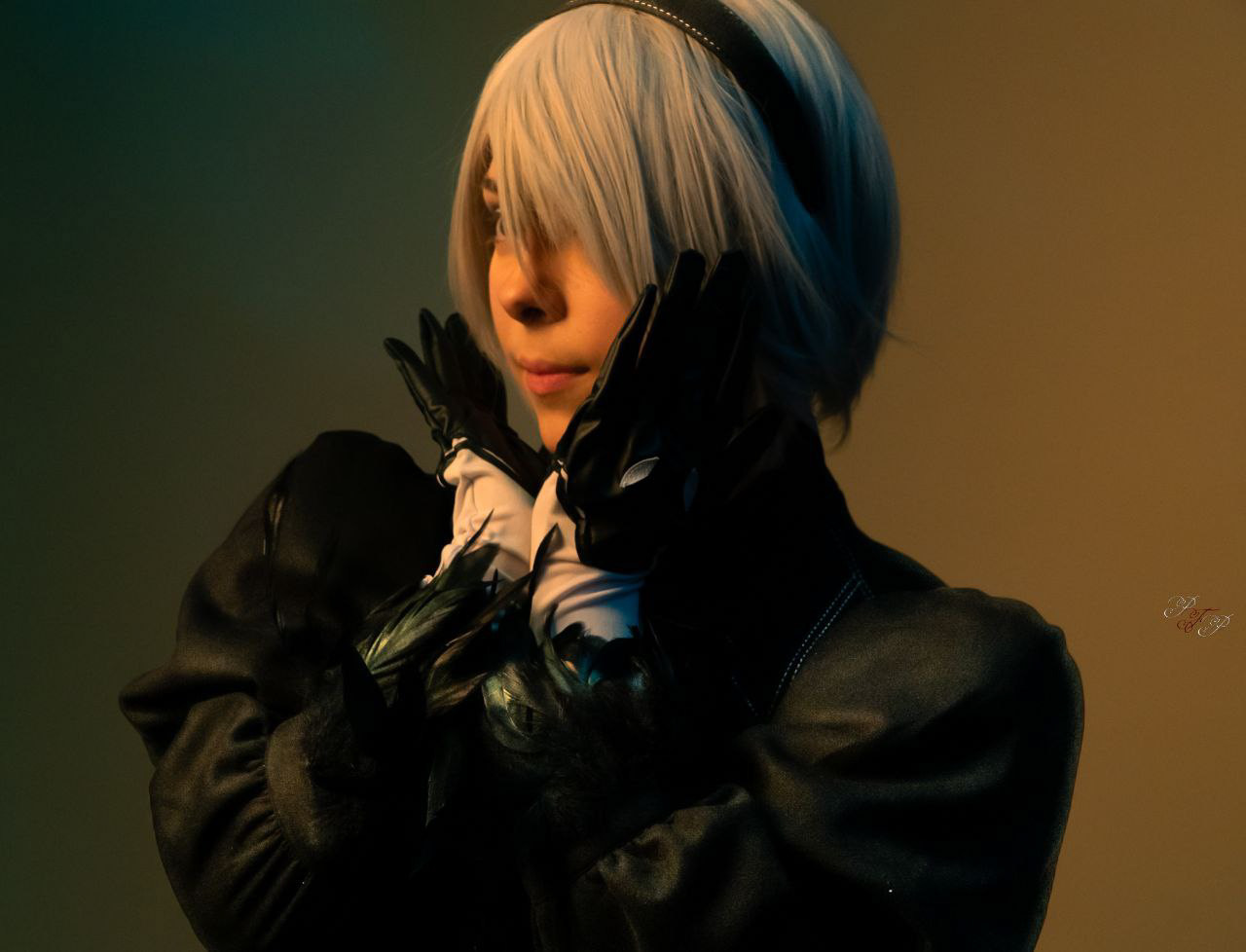 Northern Lights Photo Studio