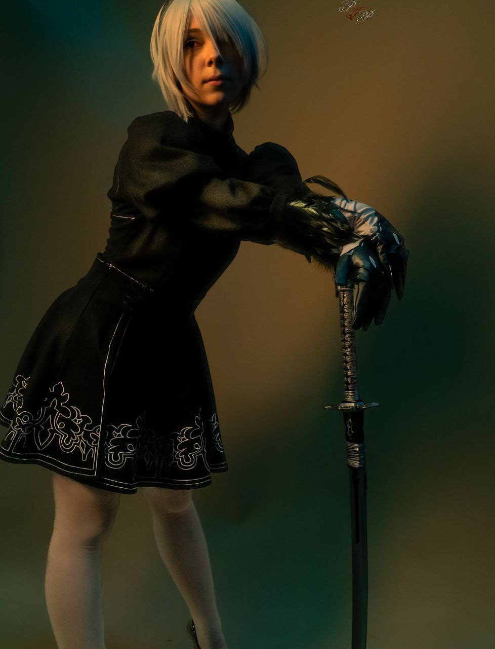 Northern Lights Photo Studio