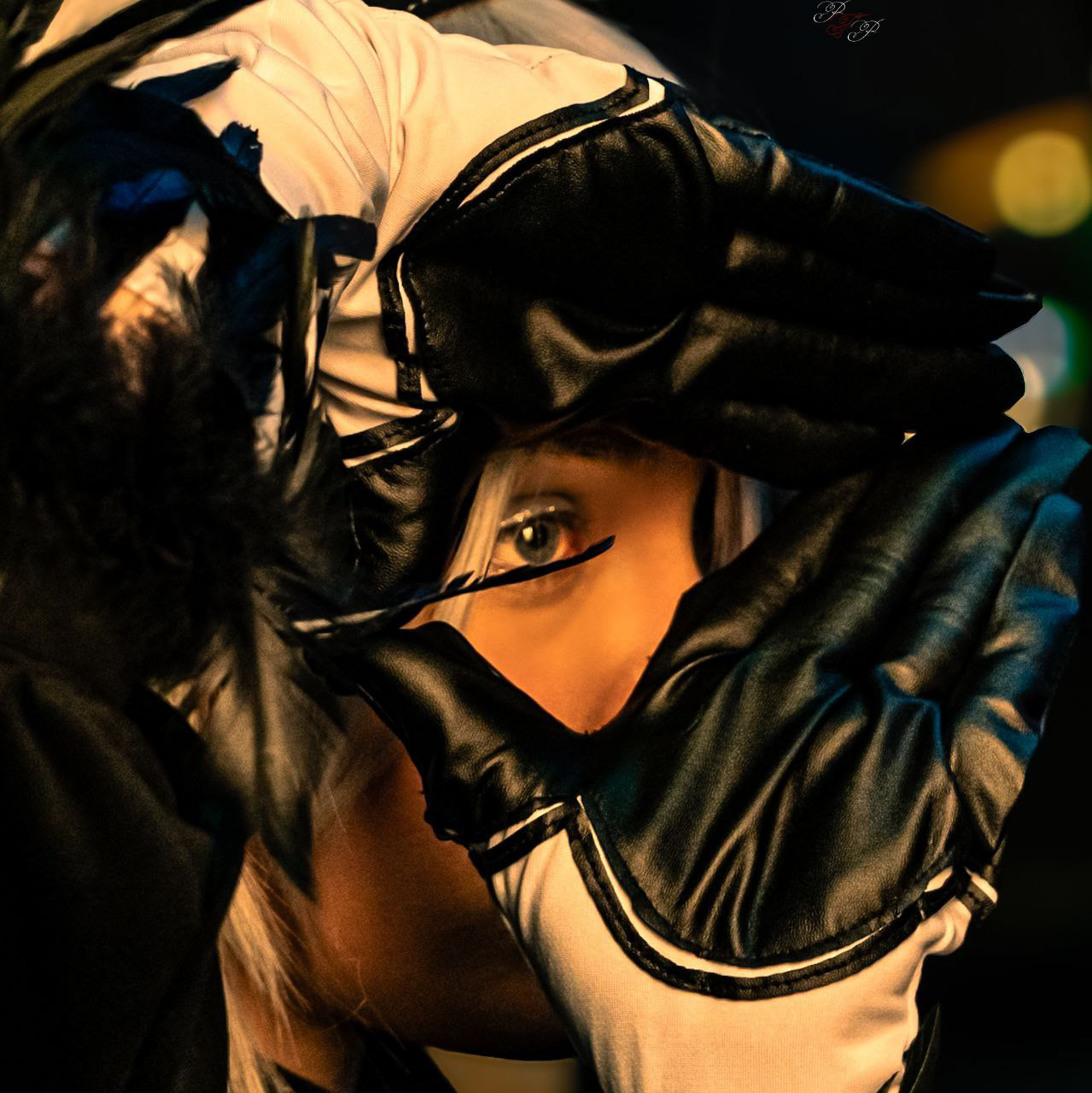 Northern Lights Photo Studio