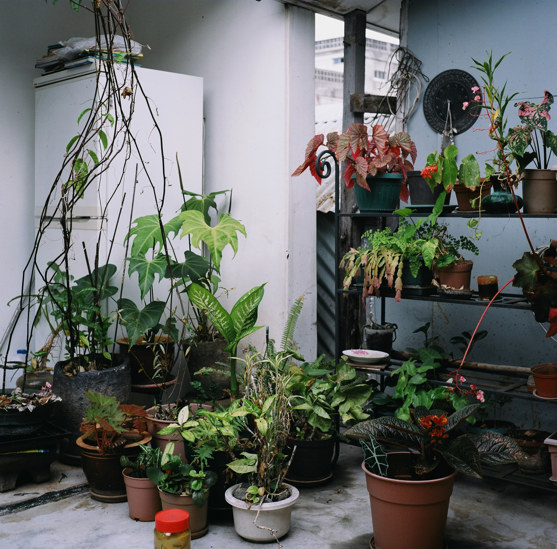 My Old Place No. 3,  Gicleé print,  40 x 40 inches,  2009