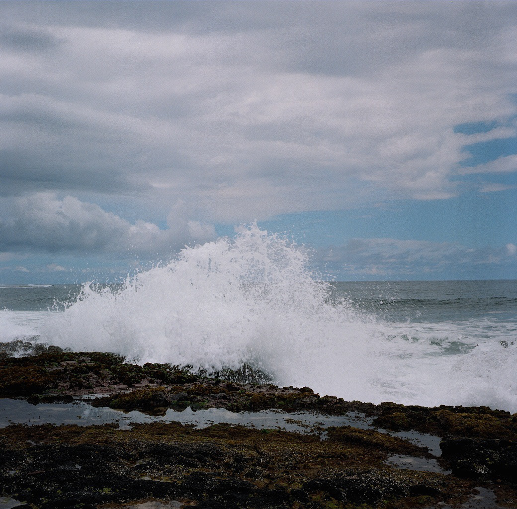 Extraordinary Quarantines No.38, Gicleé print, 20 x 20 inches, 2014