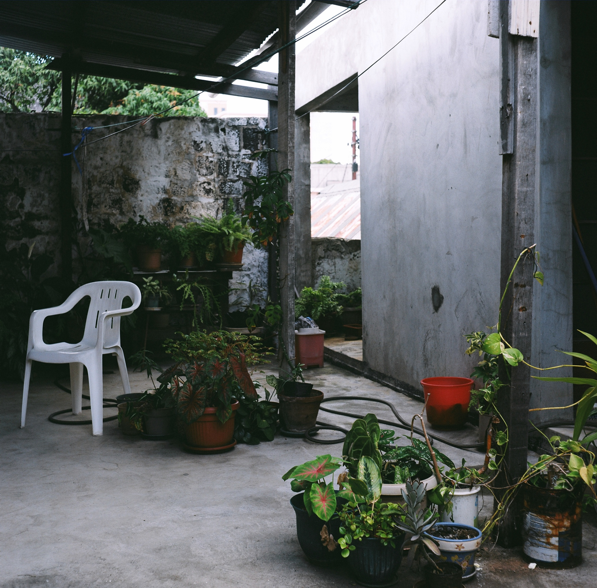 My Old Place No. 2,  Gicleé print,  40 x 40 inches,  2009