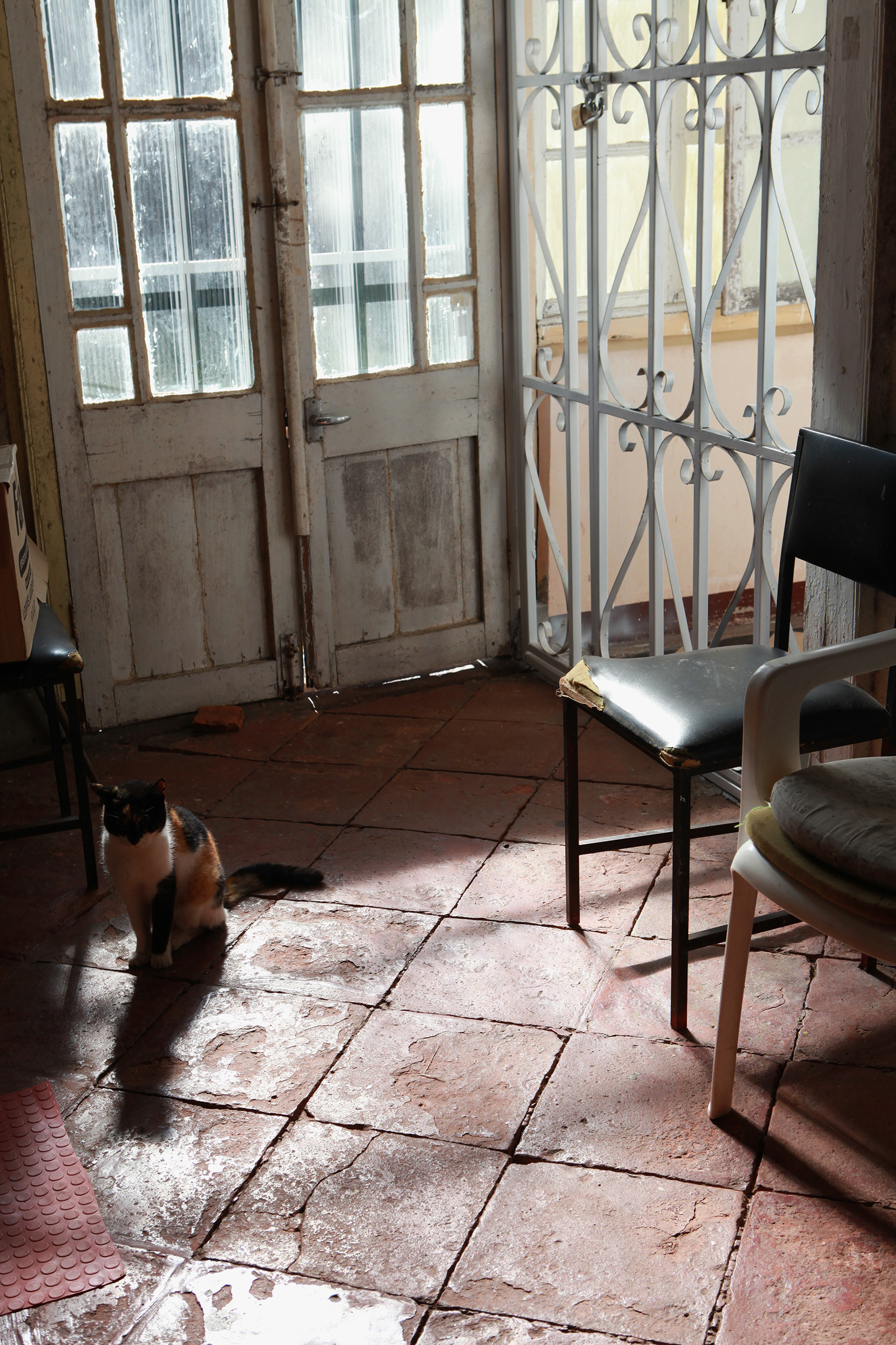 Gicleé print, 10.16cm x 15.24cm