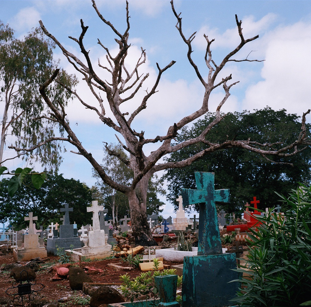 Extraordinary Quarantines No.12, Gicleé print, 20 x 20 inches, 2014