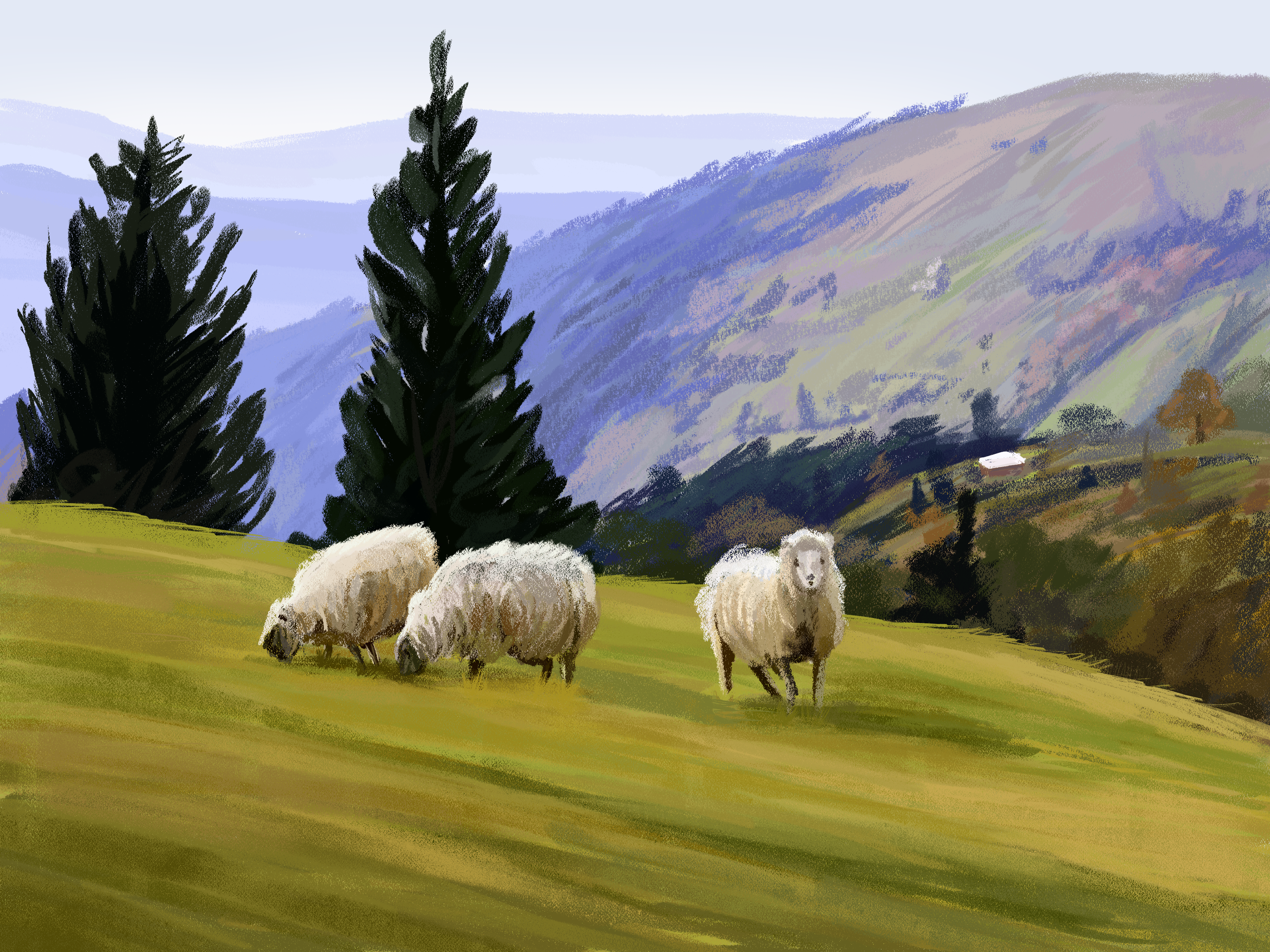 Study; ClipStudio Paint 2025