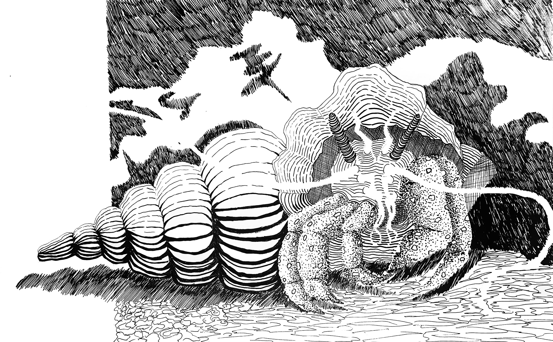 Hermit crab; Ink 2022