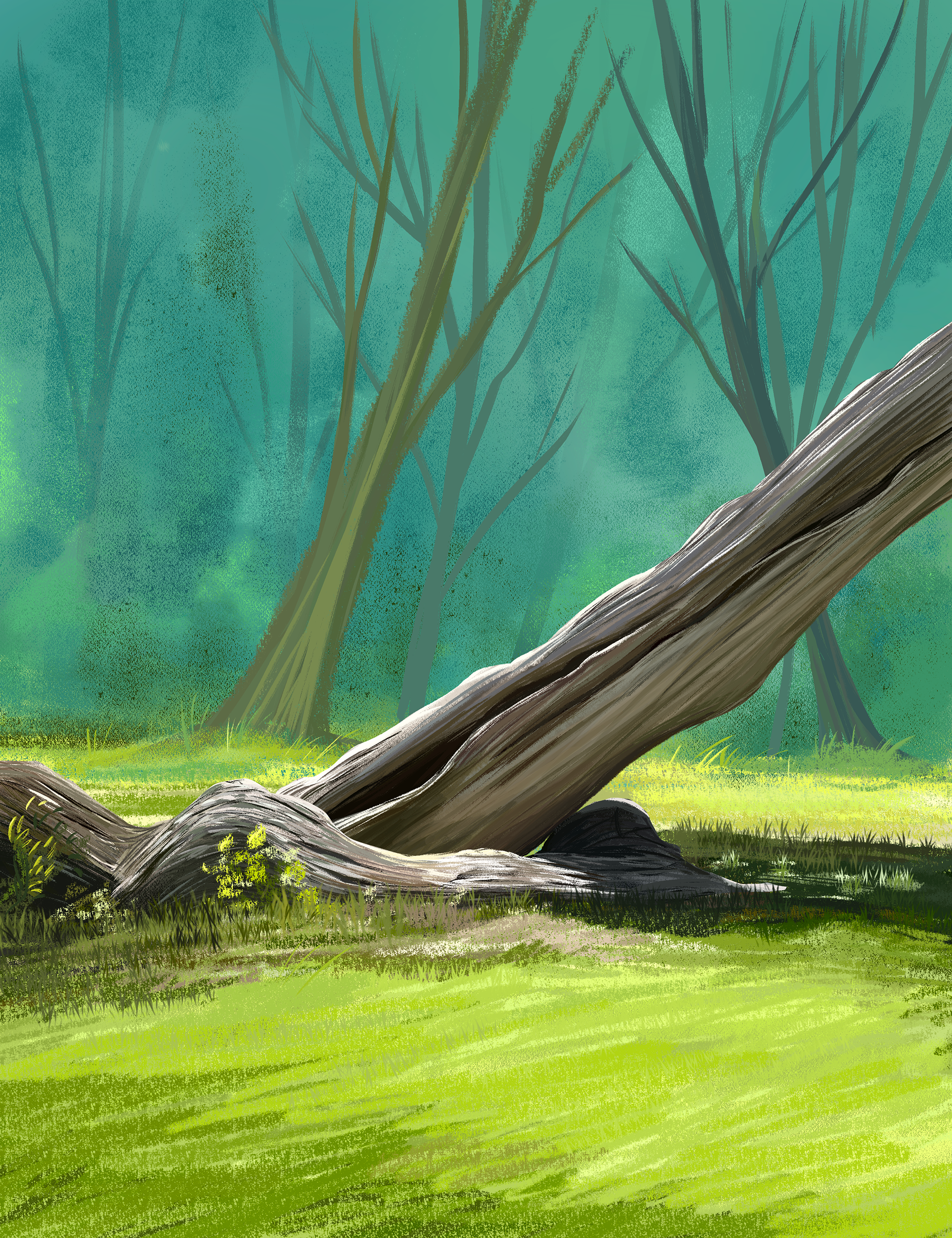 Photo study; ClipStudio 2025