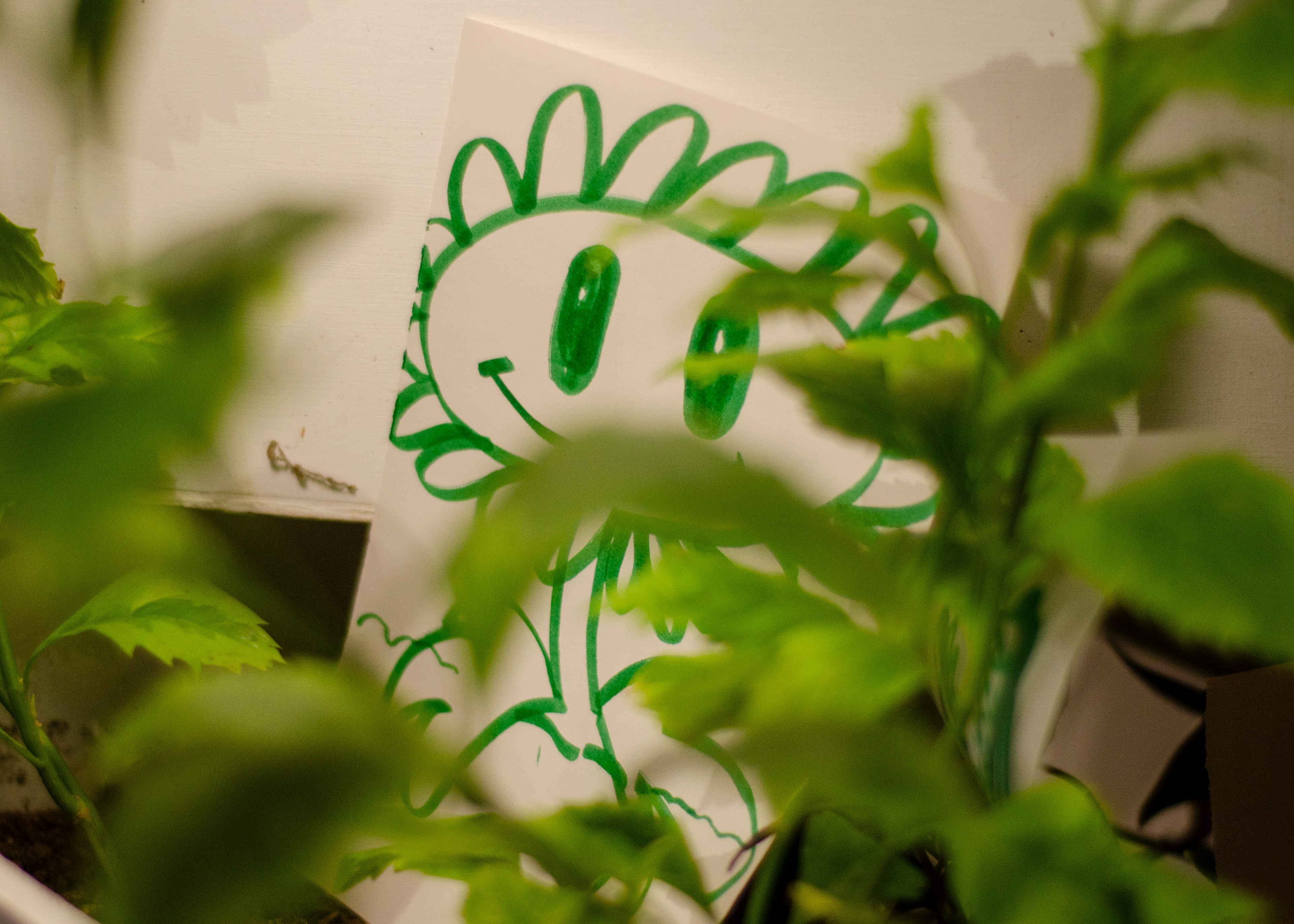 Muestra en "Ruta de Arte", Planta Libre.