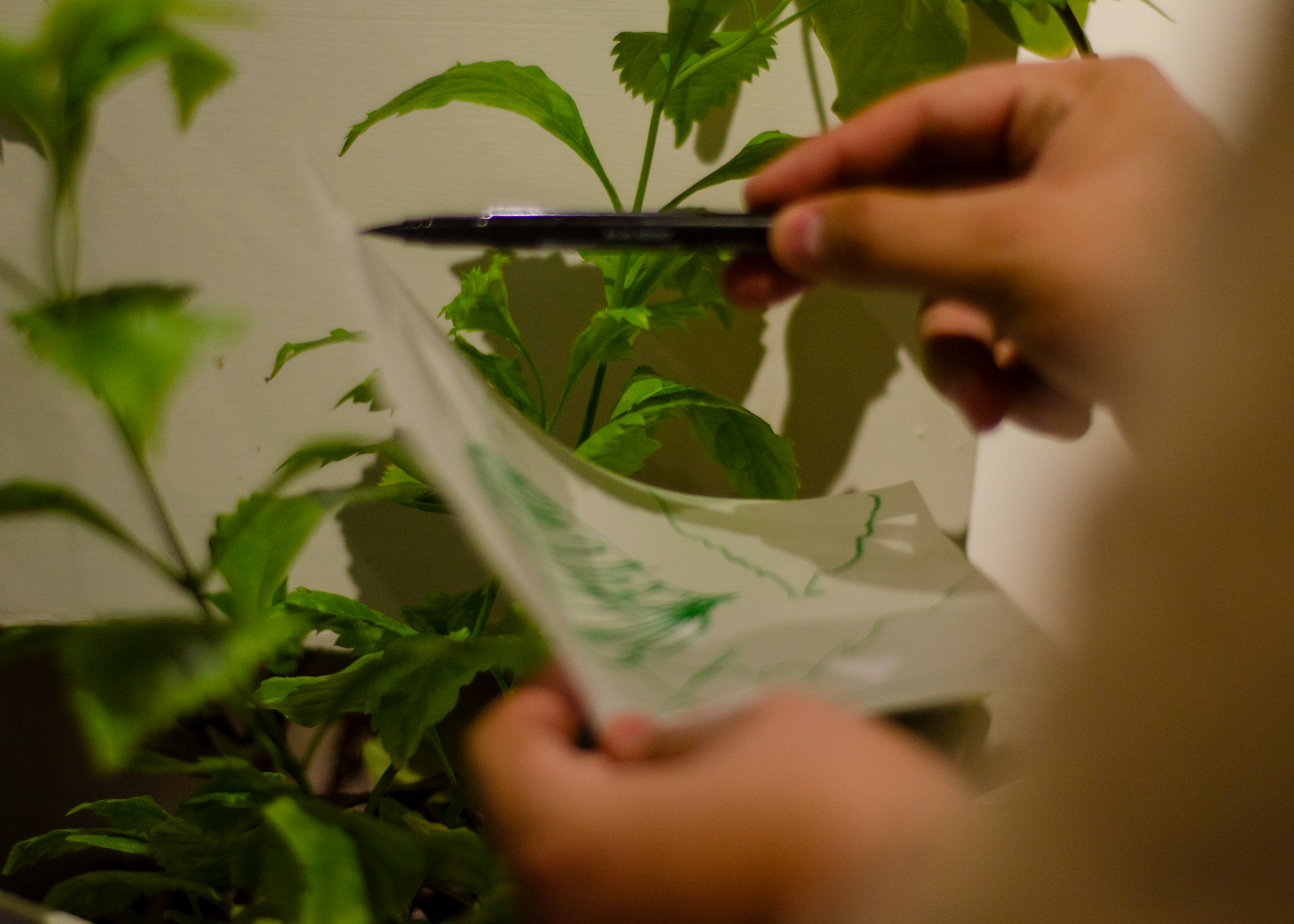 Muestra en "Ruta de Arte", Planta Libre.