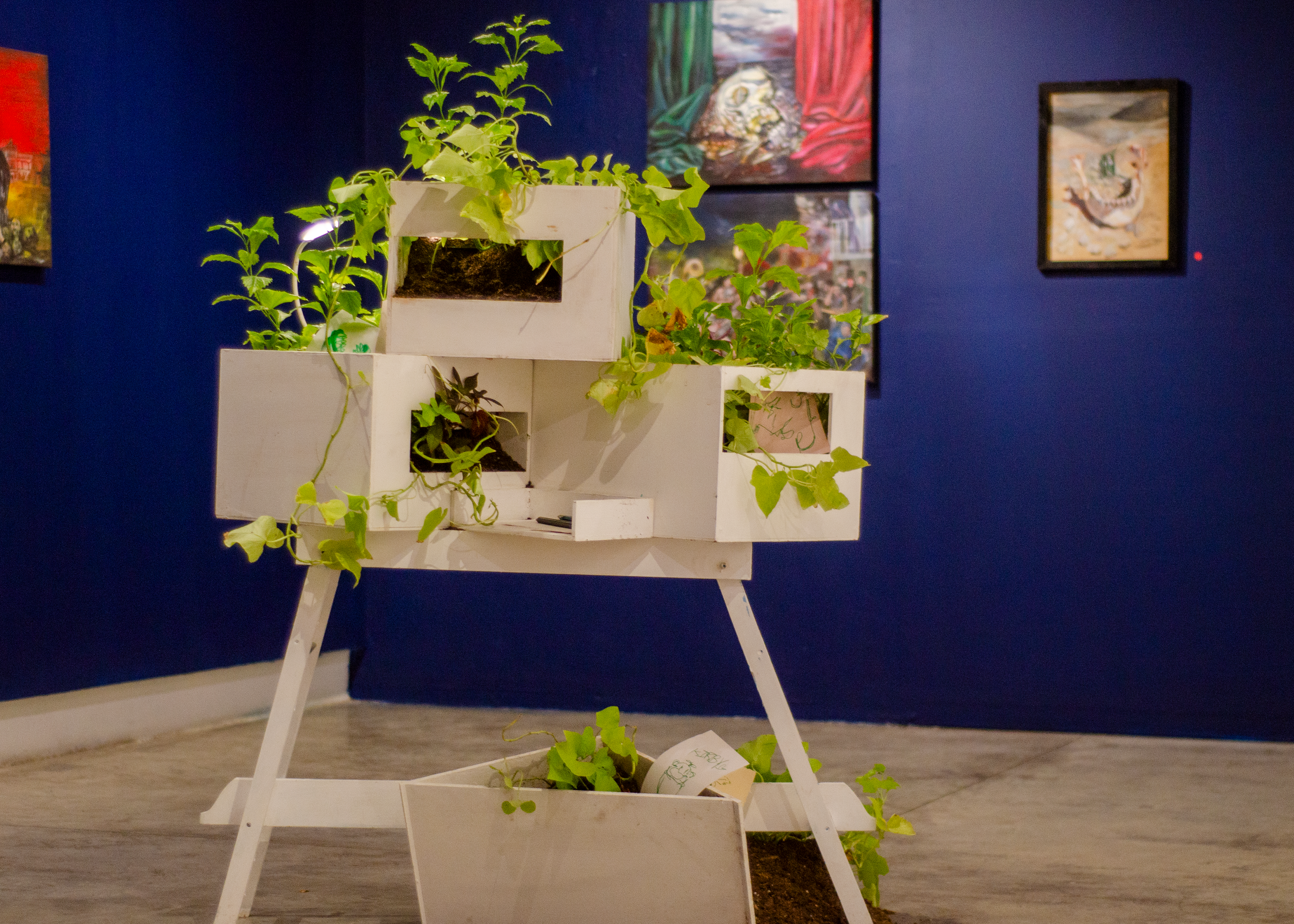 Muestra en "Ruta de Arte", Planta Libre.