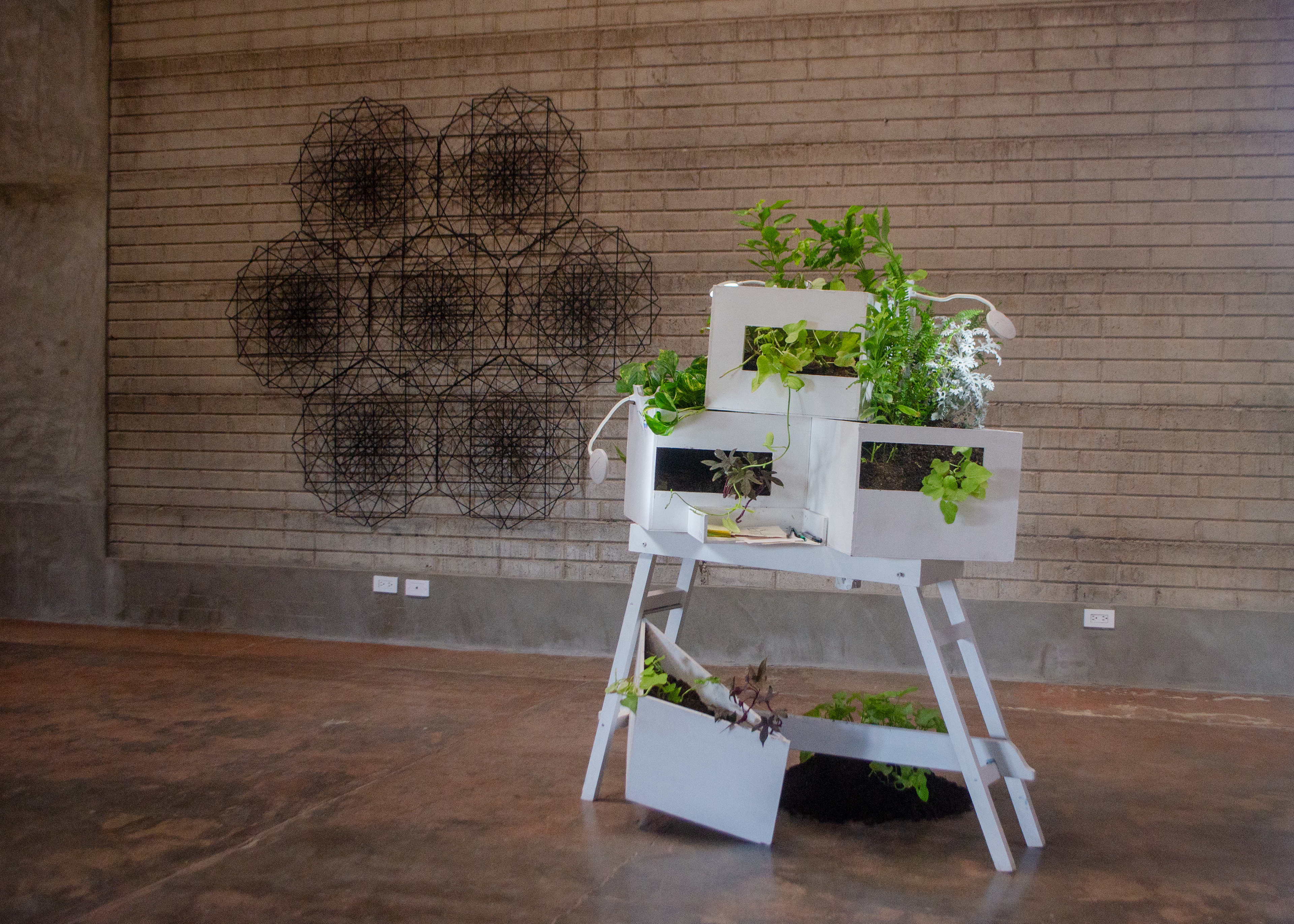 REGISTRO DE "PARAJE 01" DE YANELI MONTIEL