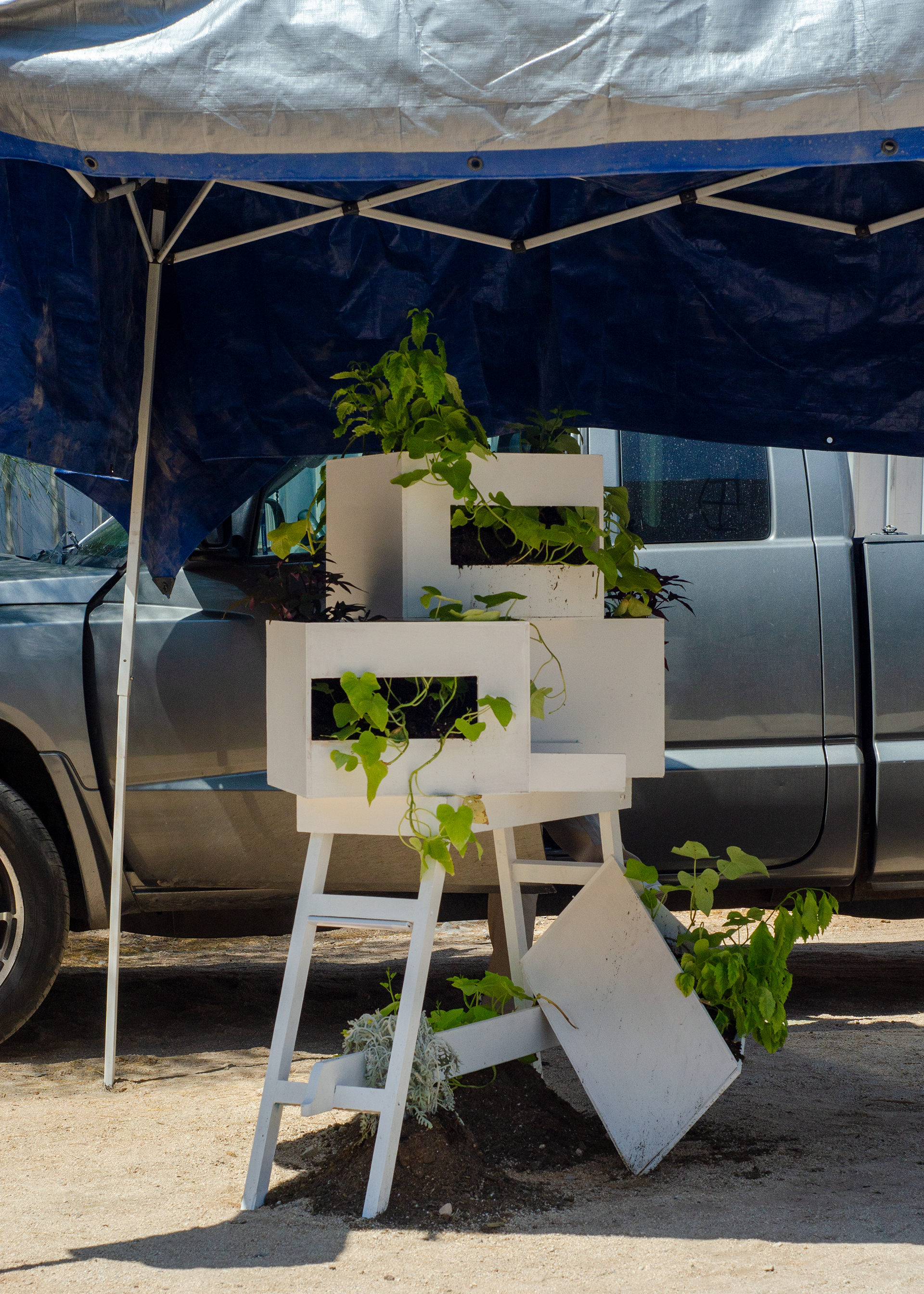 REGISTRO DE "PARAJE 01" DE YANELI MONTIEL