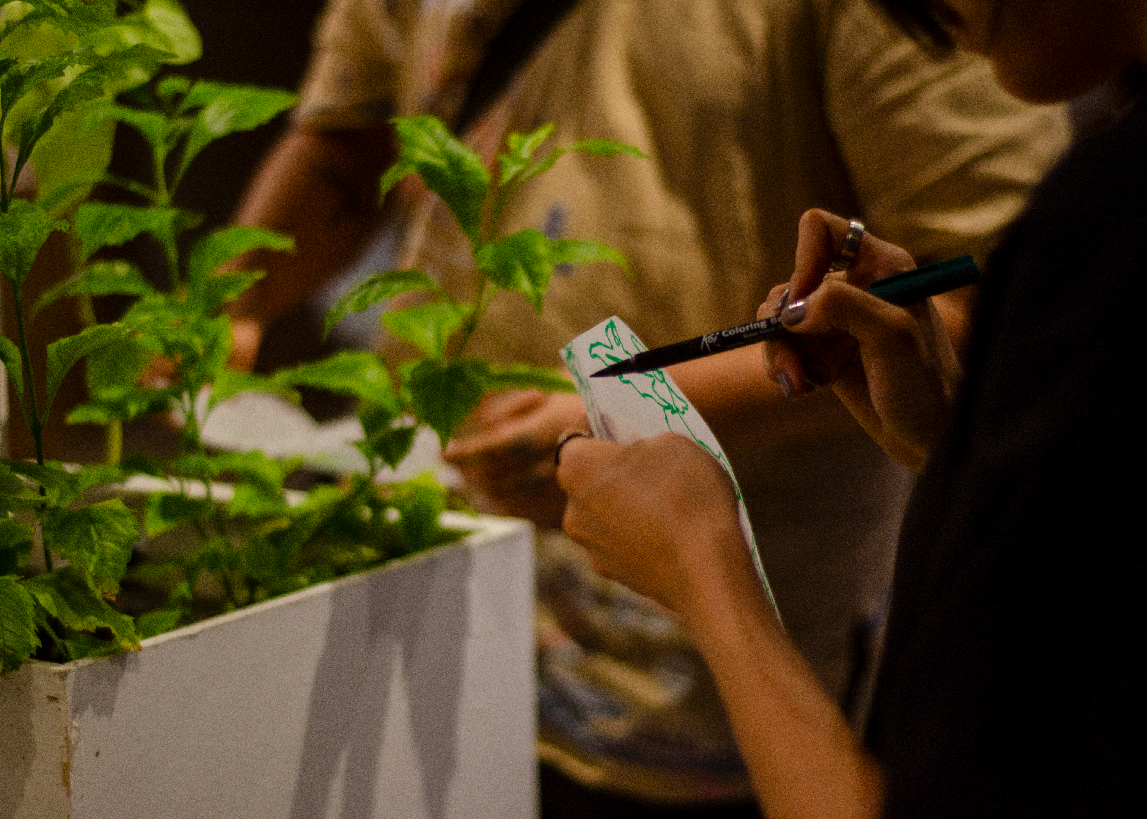Muestra en "Ruta de Arte", Planta Libre.