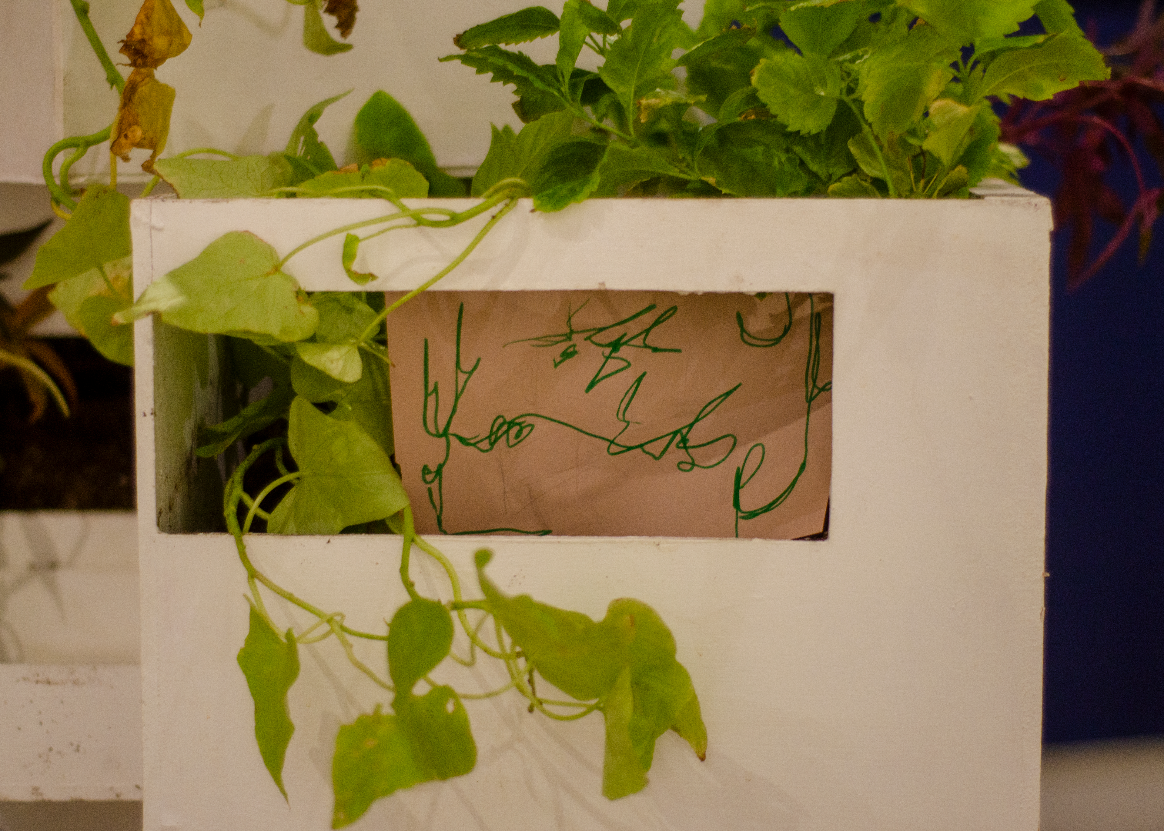 Muestra en "Ruta de Arte", Planta Libre.