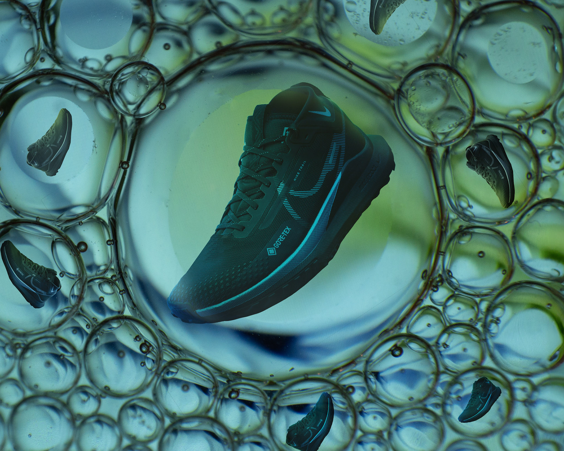 Nike Shoe