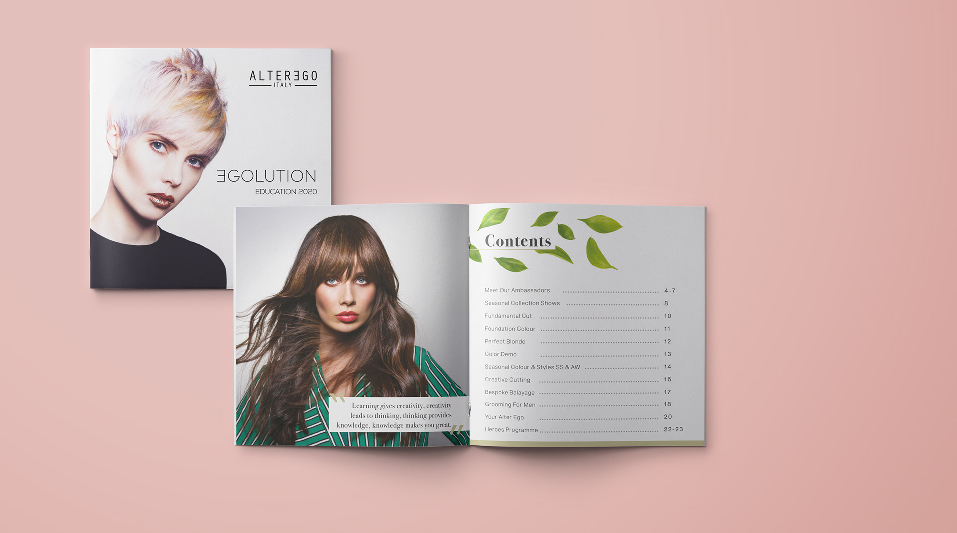 Daniel Georgiev - Alter Ego Education Brochure