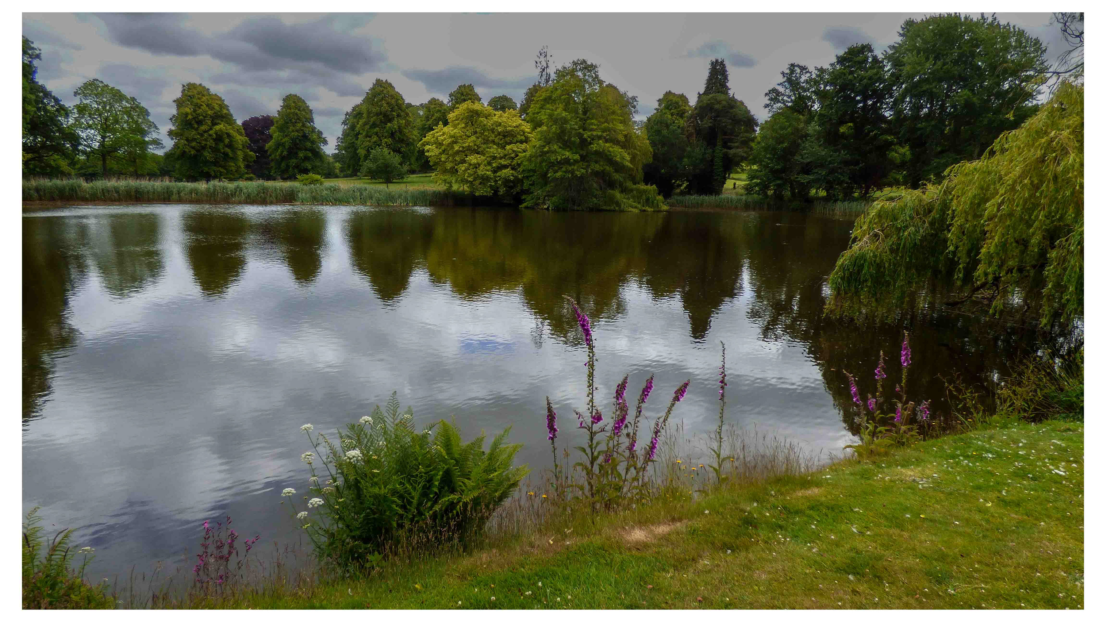 Lakeside reflections