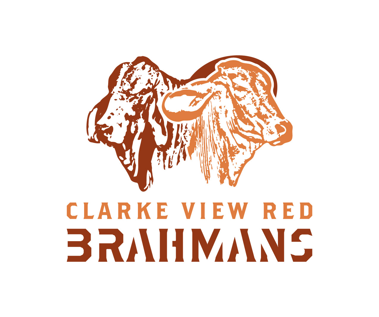 Clarke View Red Brahmans Logo