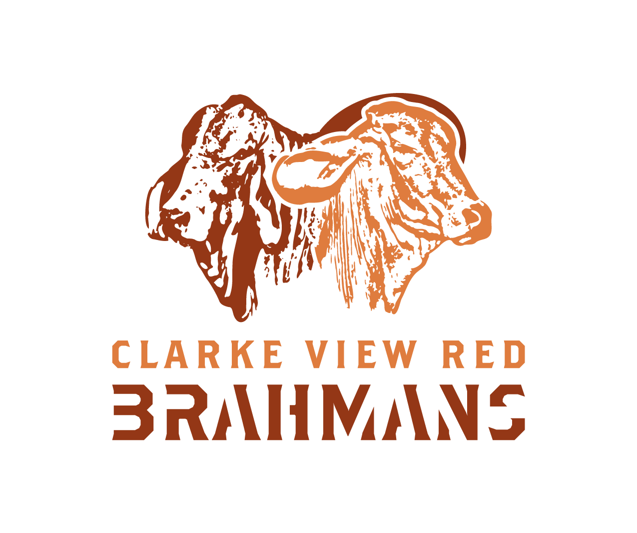 Clarke View Red Brahmans Logo