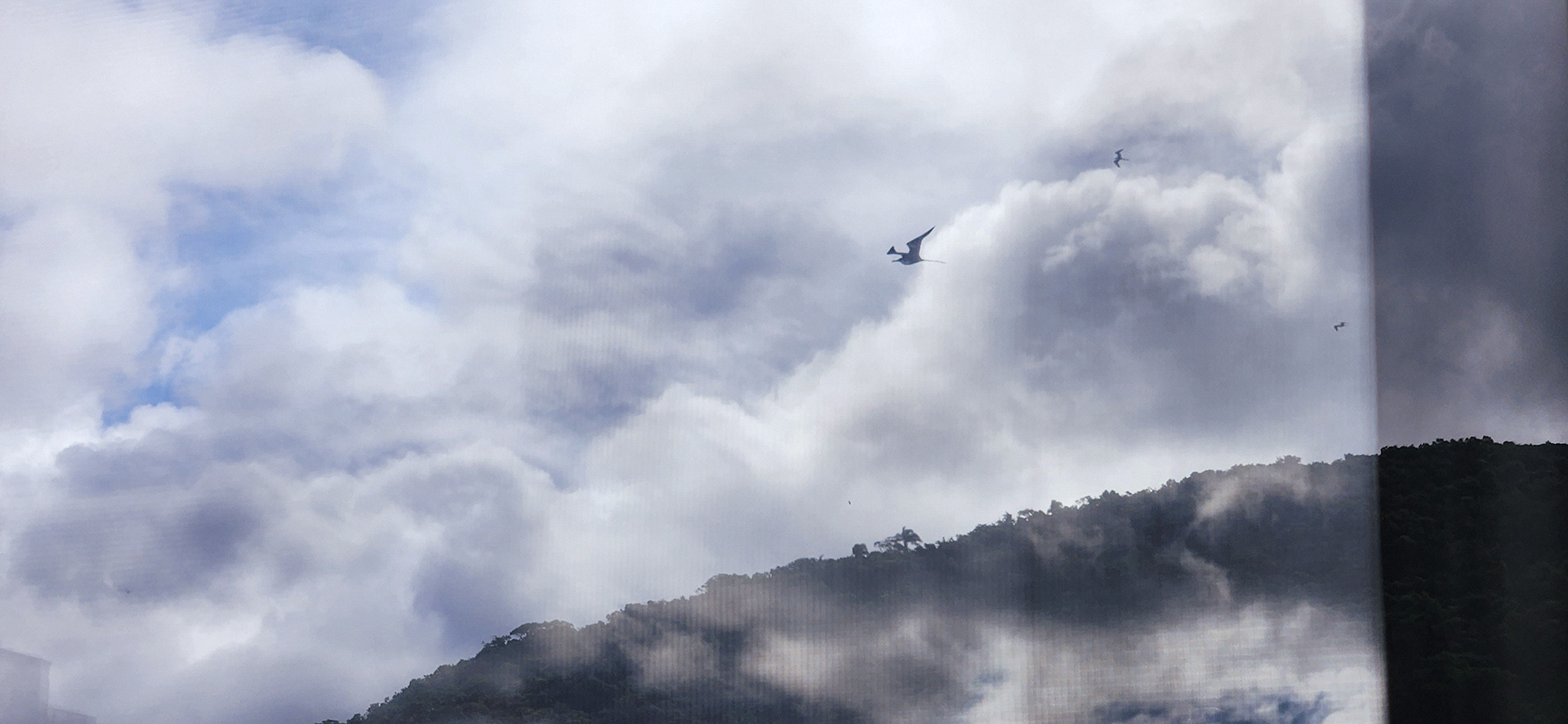 Rio de Janeiro, RJ, Brasil.