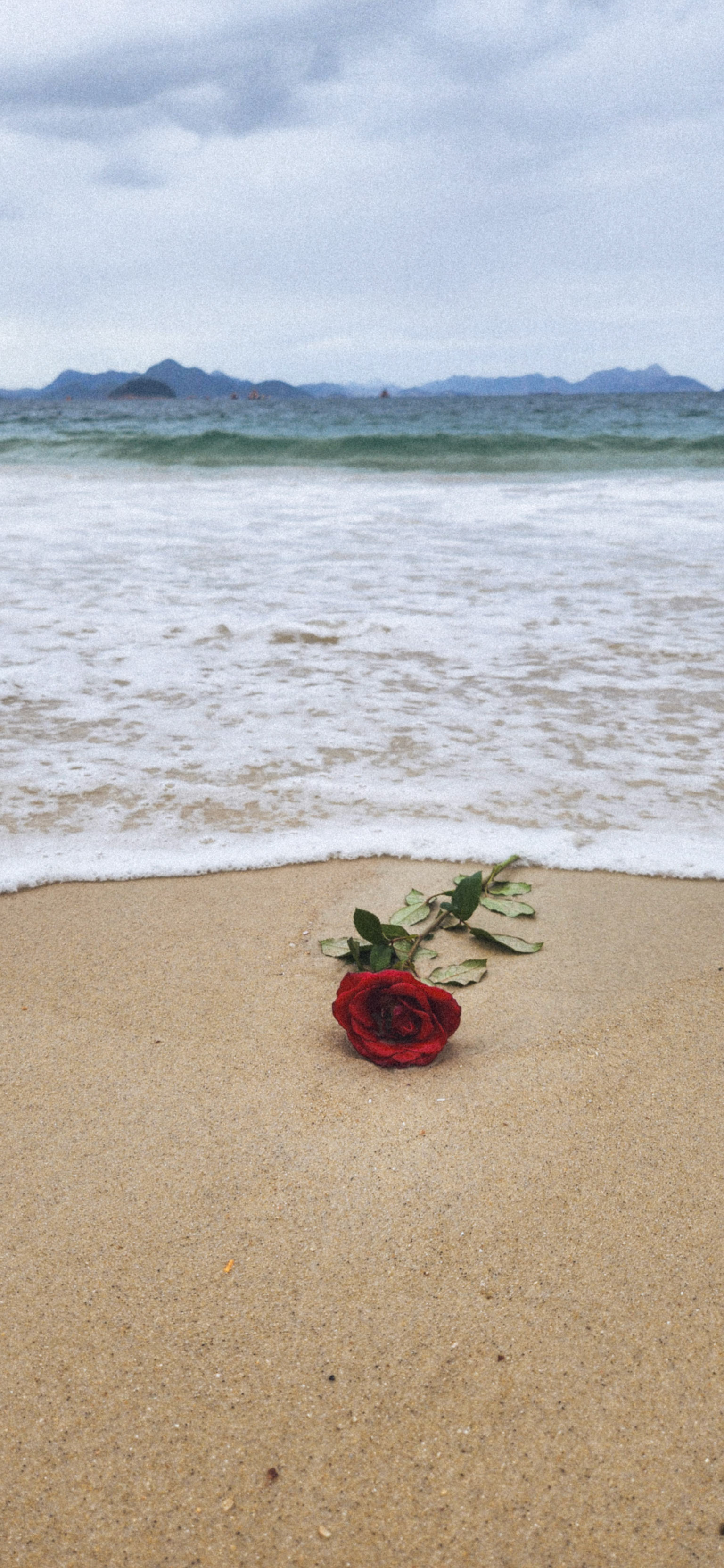 Rio de Janeiro, RJ, Brasil.