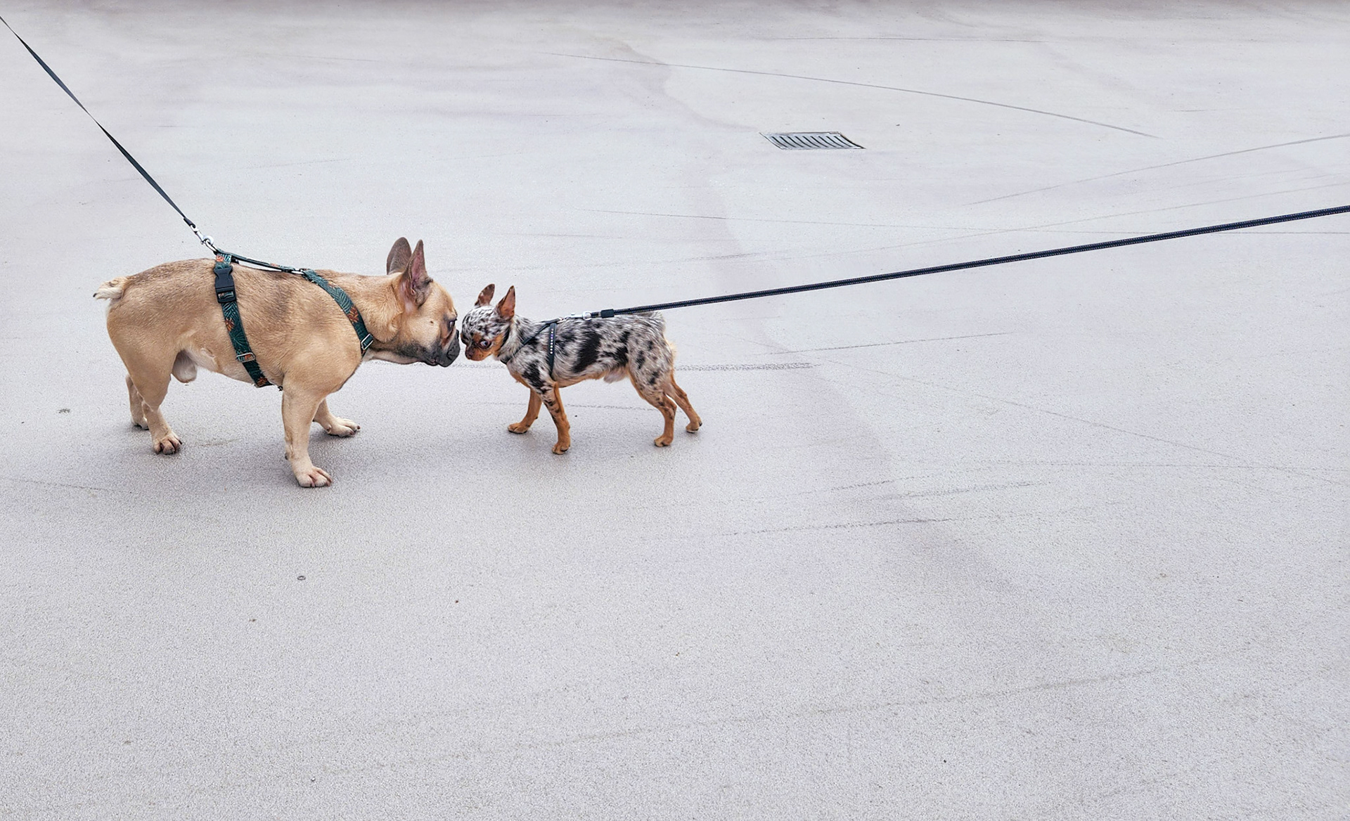 Varsóvia, Polônia.