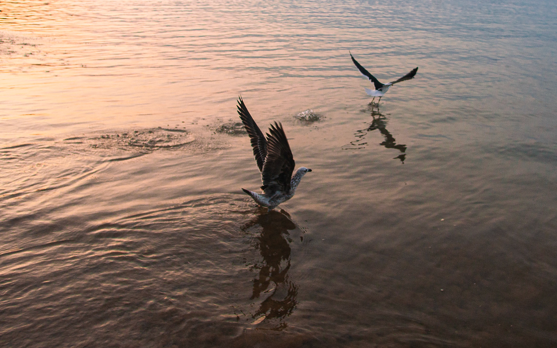 Búzios, RJ, Brasil.