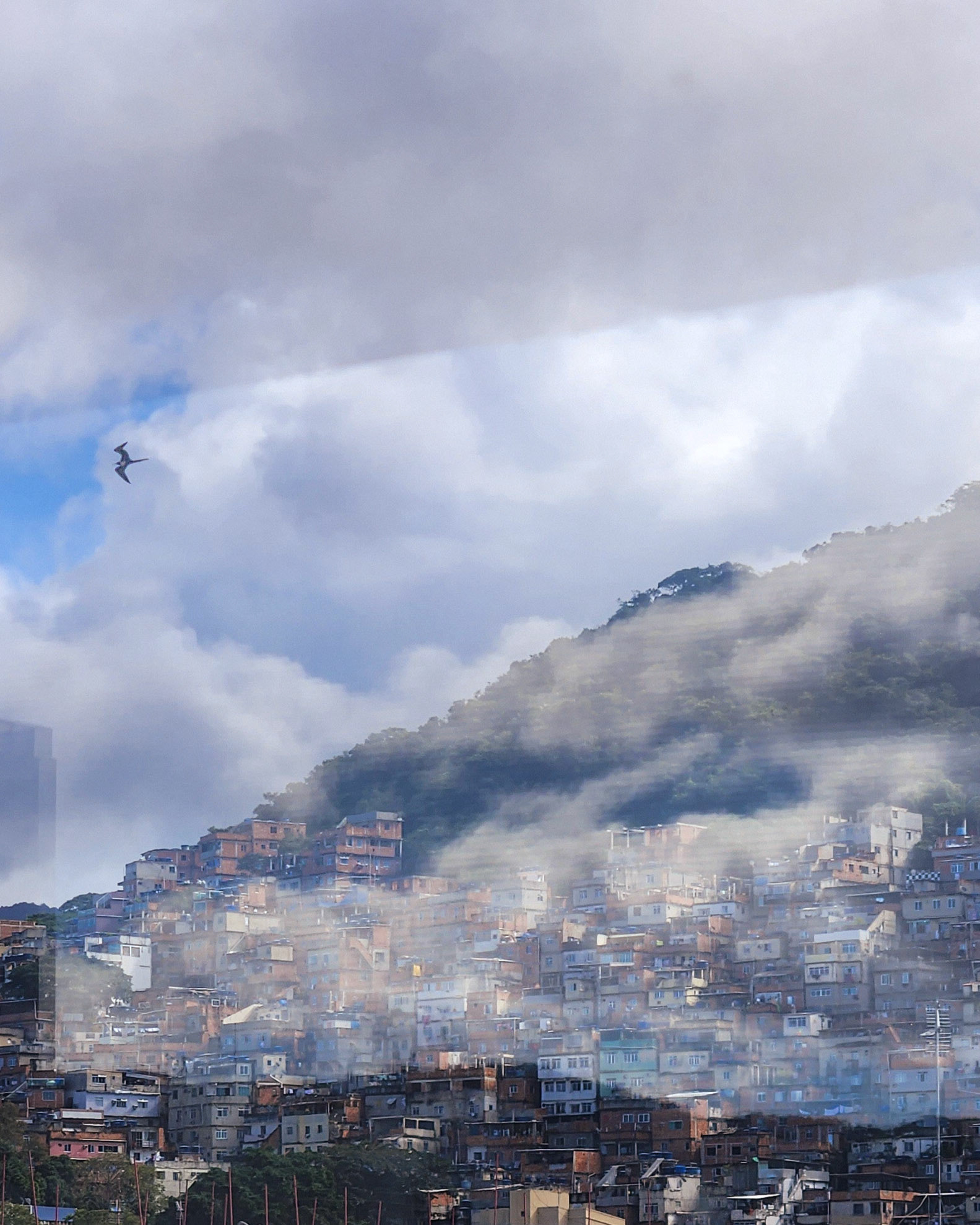 Rio de Janeiro, RJ, Brasil.