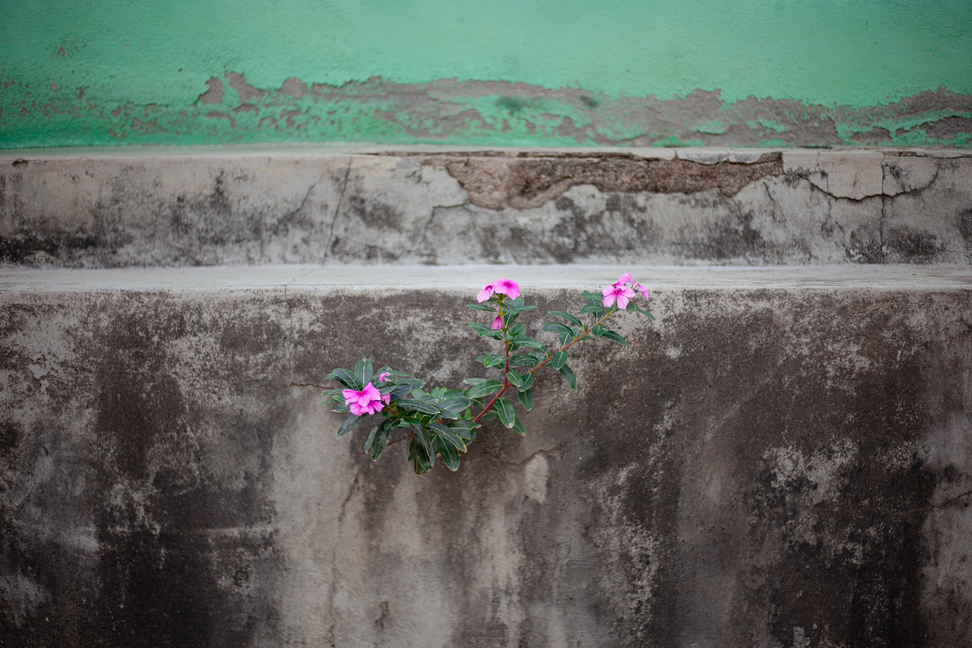 Cachoeira do Norte, MG, Brasil.