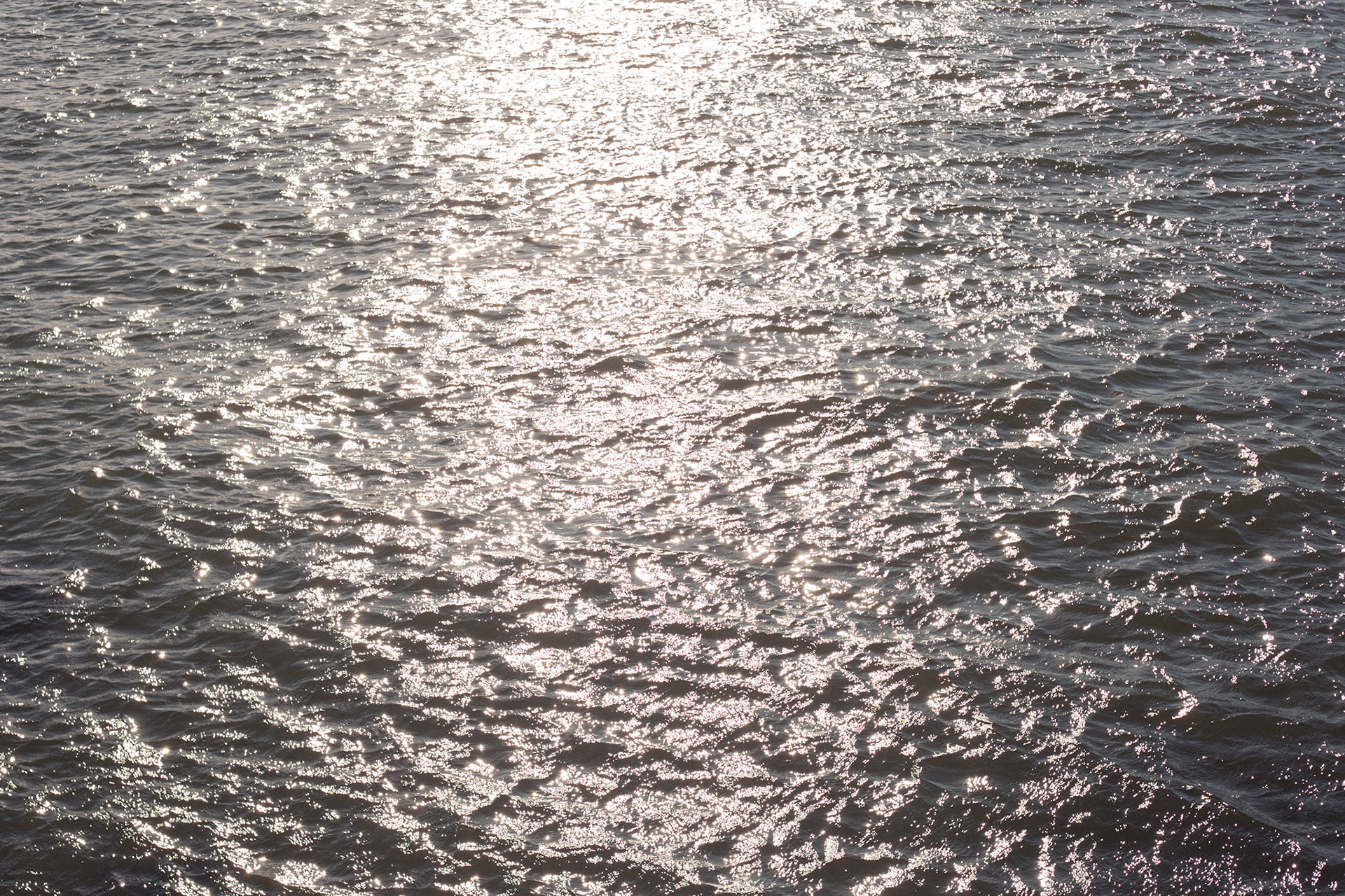 Nova York, Estados Unidos, 2024.