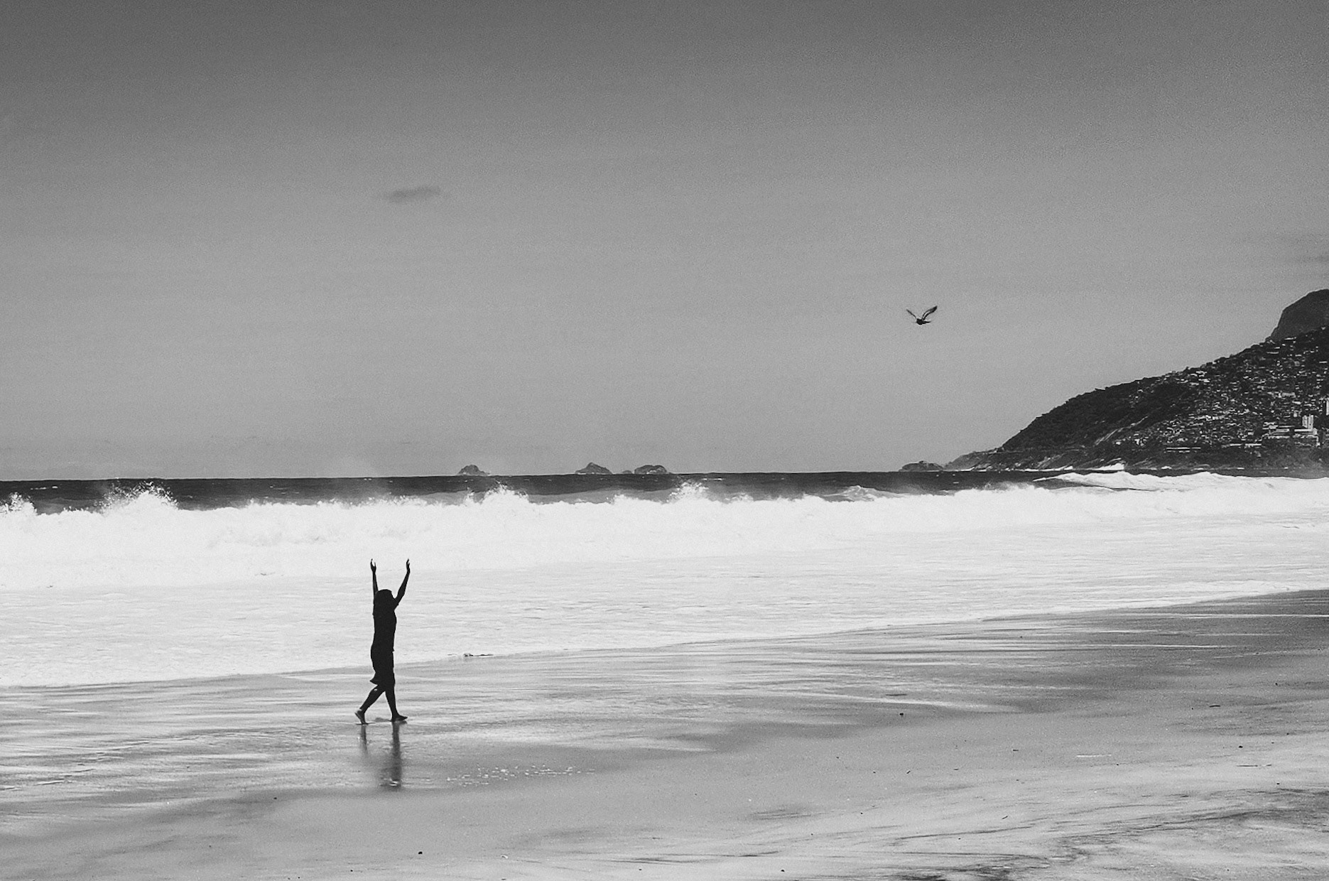 Rio de Janeiro, RJ, Brasil.