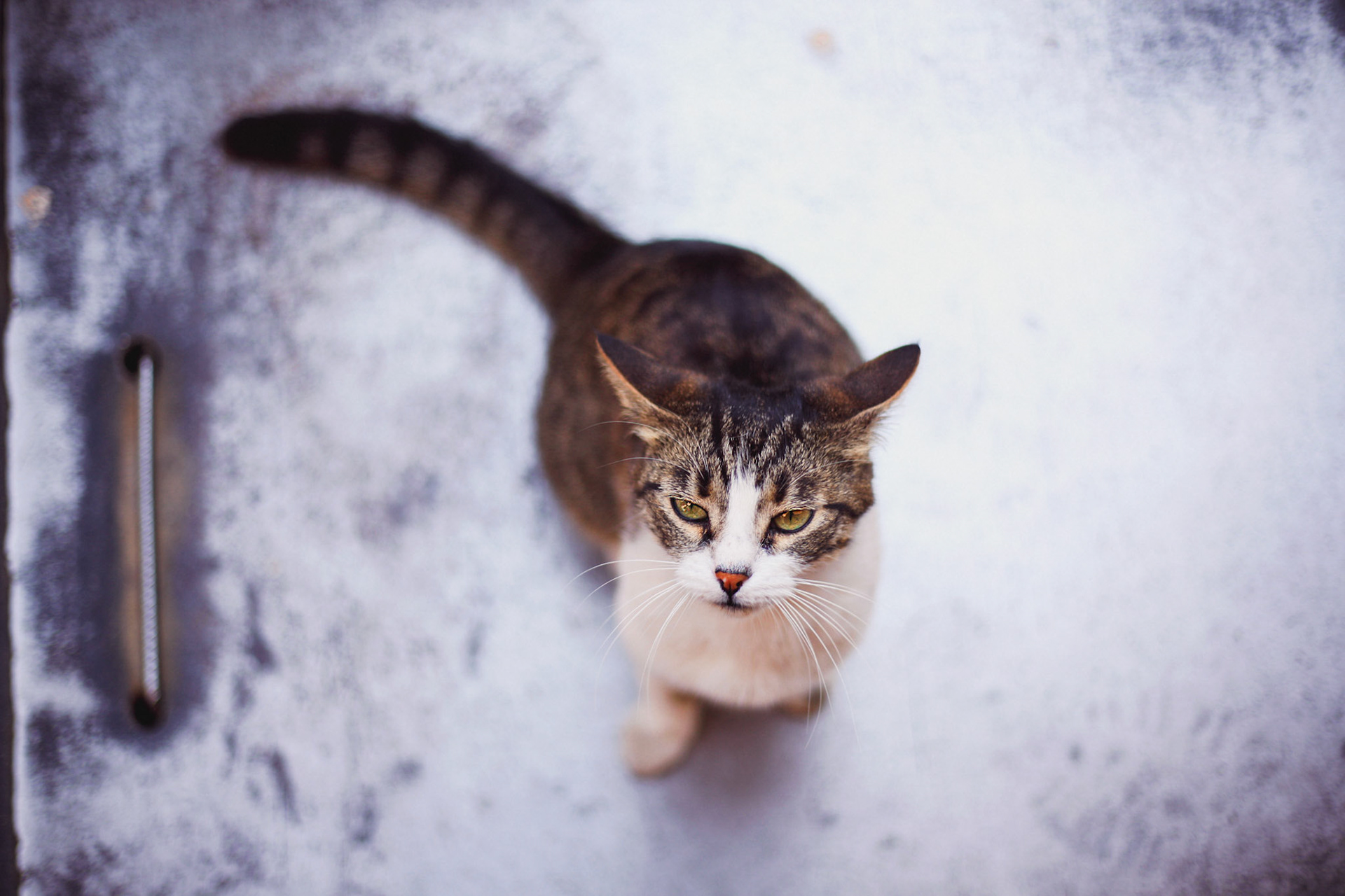Istambul, Turquia, 2019.
