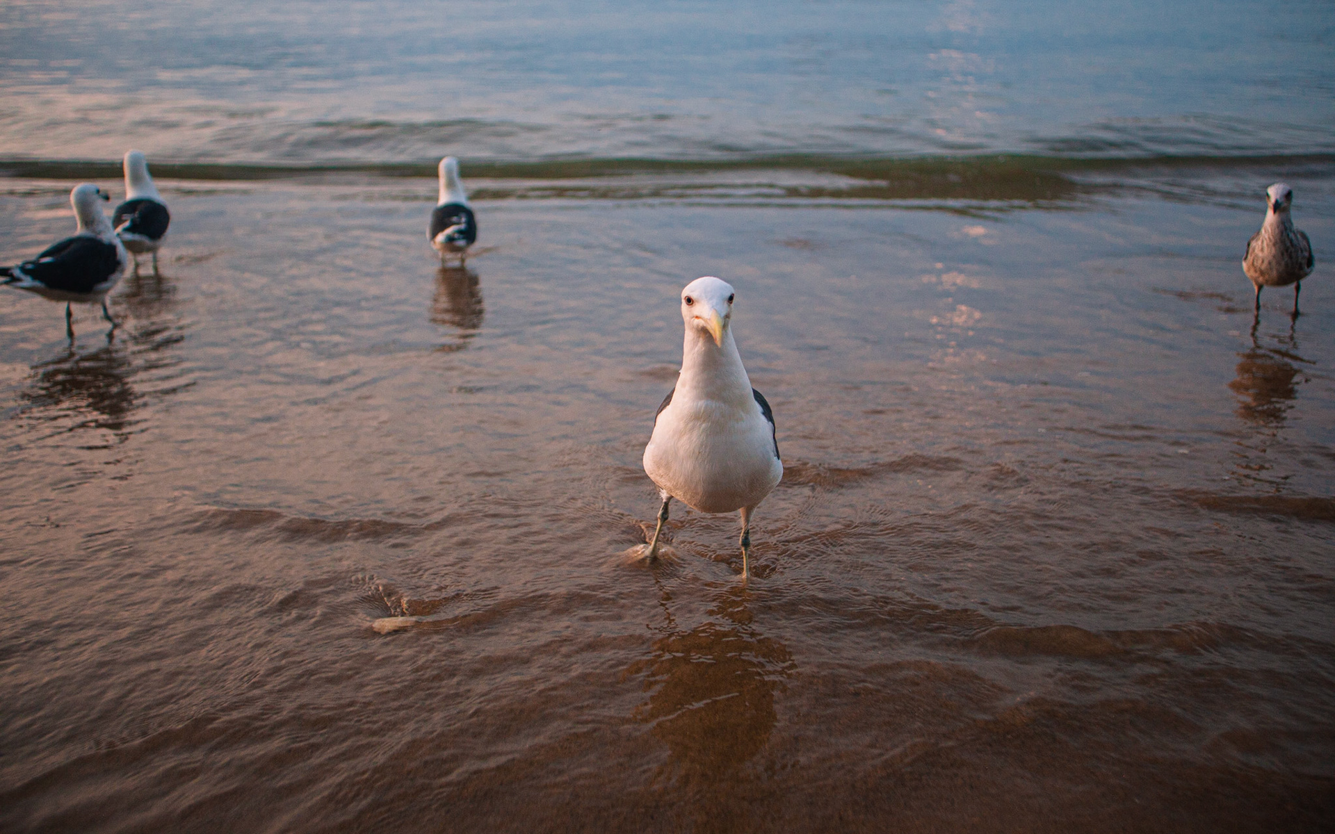 Búzios, RJ, Brasil.