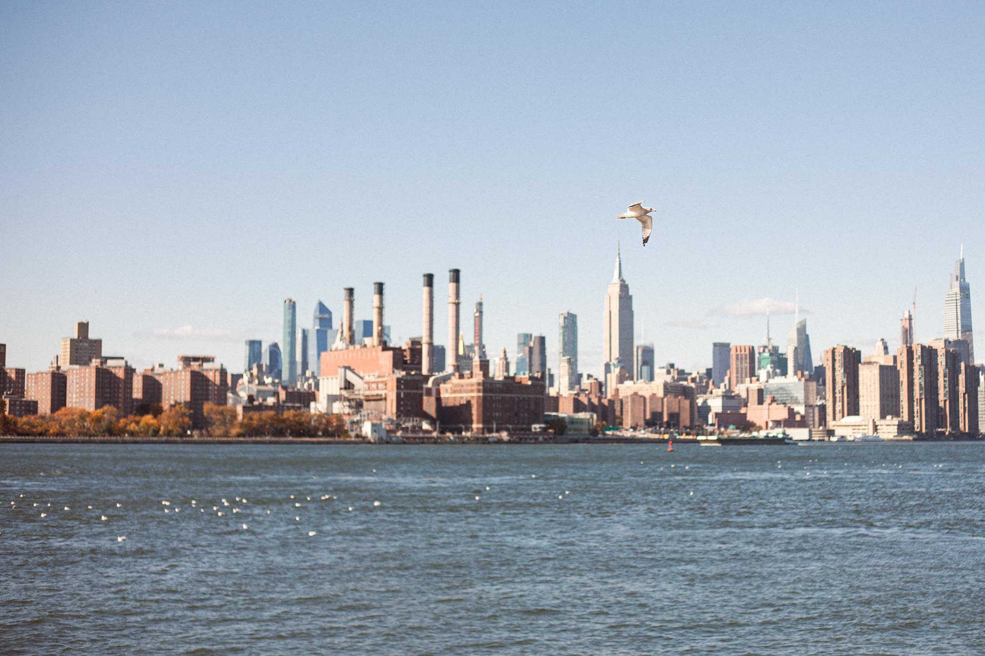 Nova York, Estados Unidos, 2024.