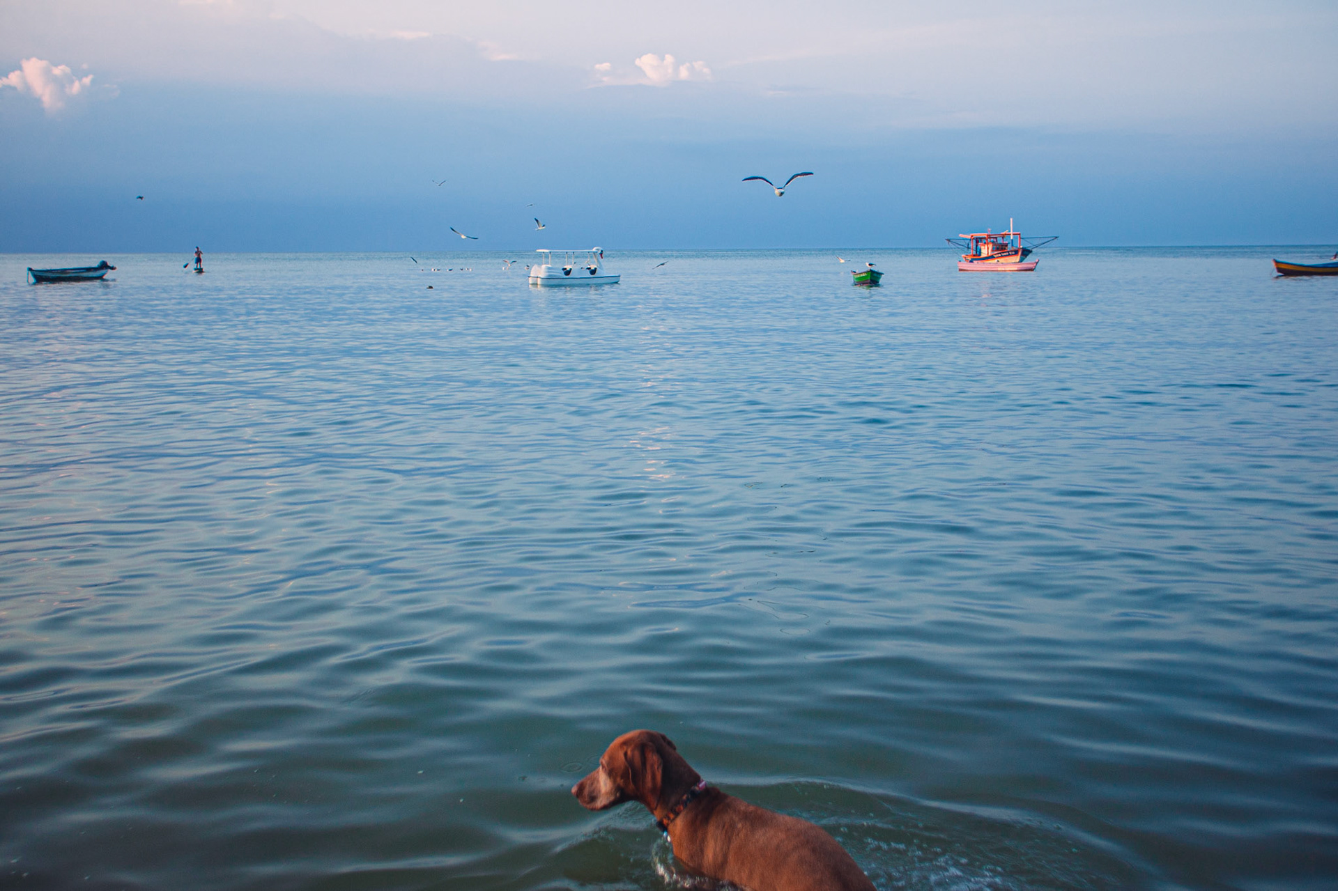 Búzios, RJ, Brasil.