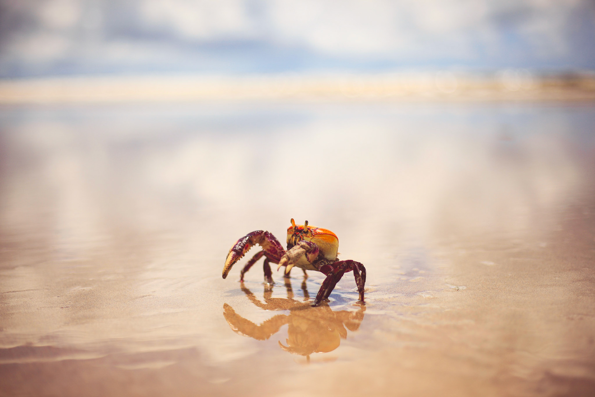 Boipeba, BA, Brasil.