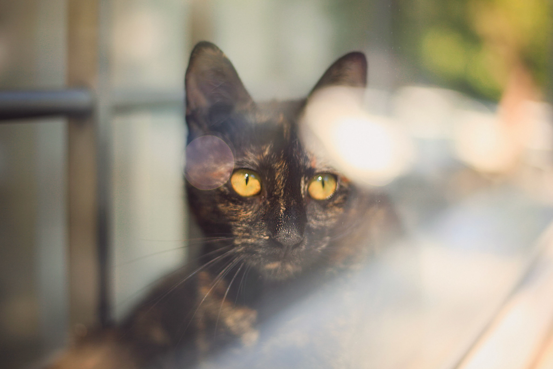 Istambul, Turquia, 2019.