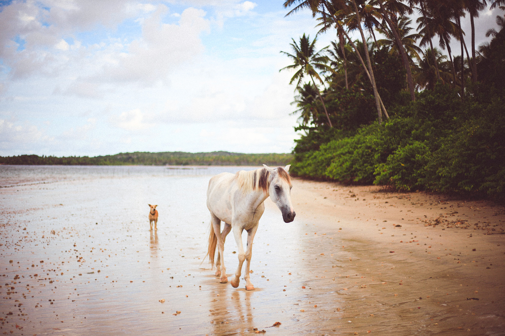 Boipeba, BA, Brasil.