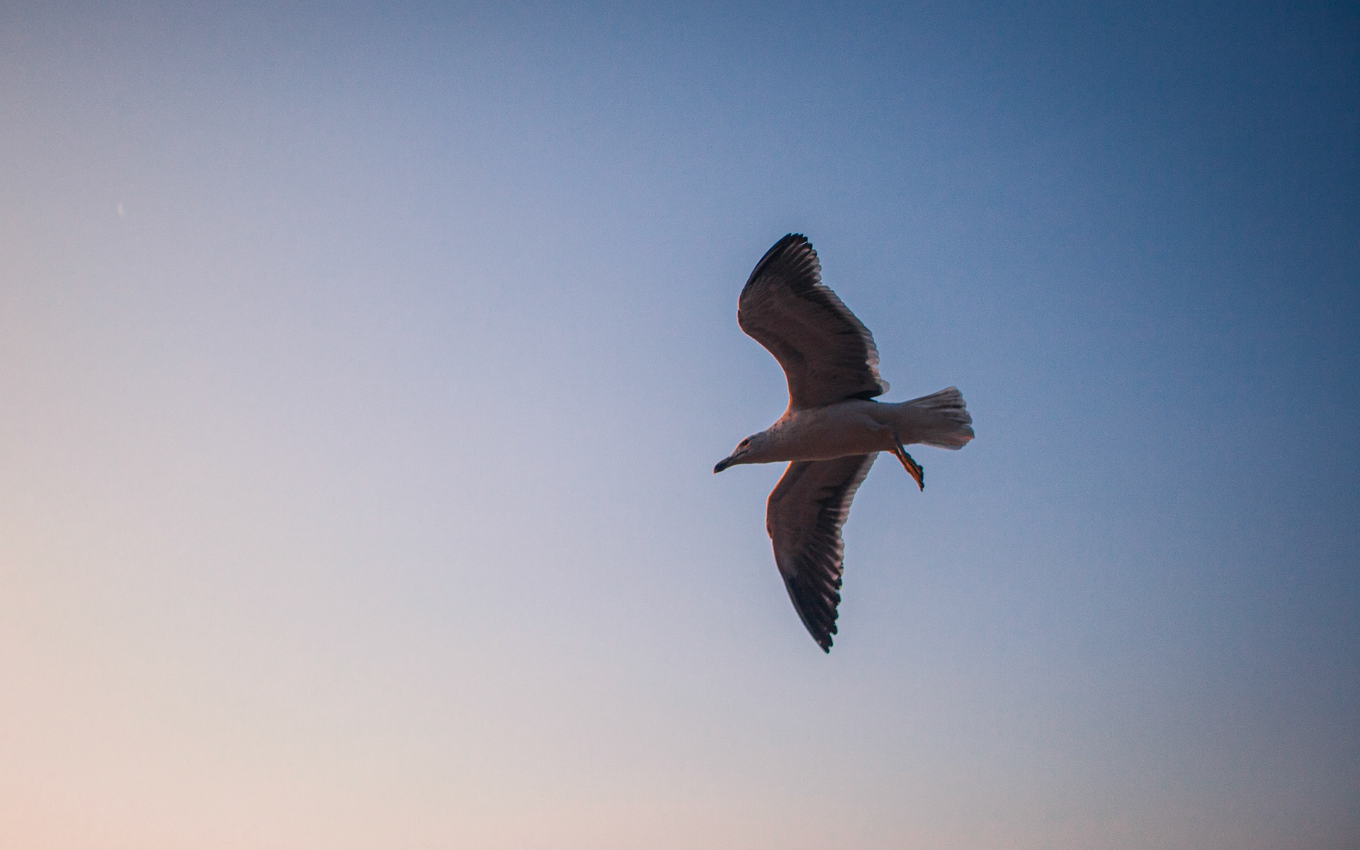 Búzios, RJ, Brasil.