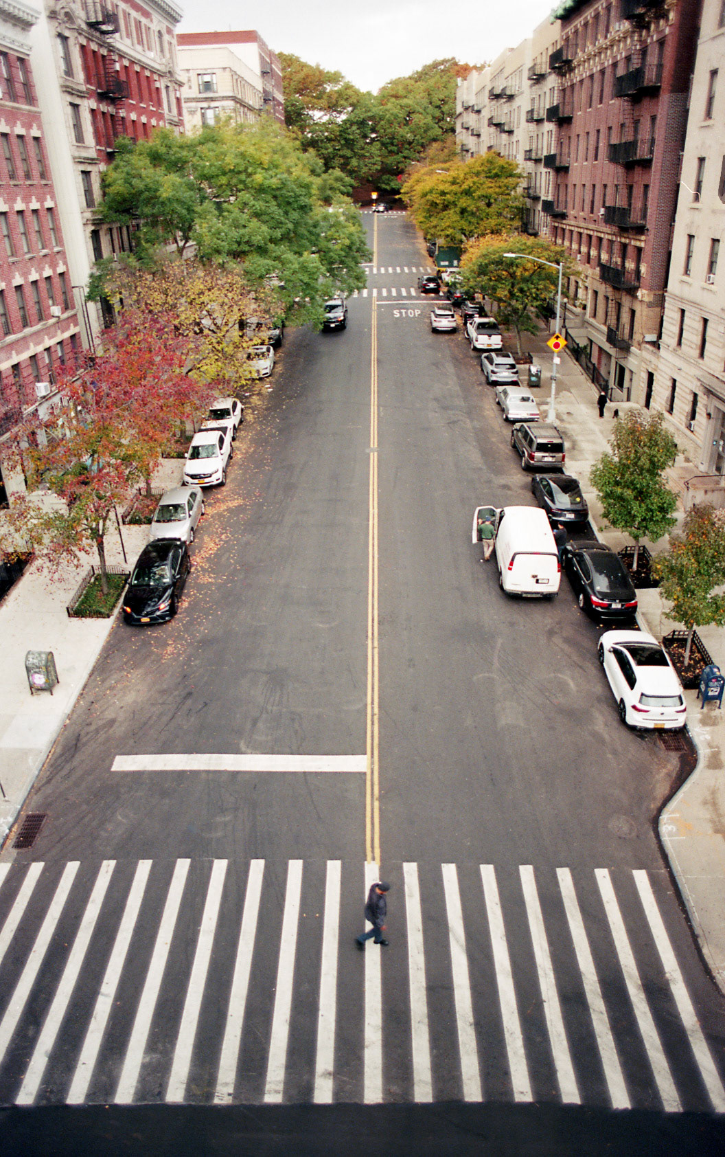 Nova York, Estados Unidos, 2024.