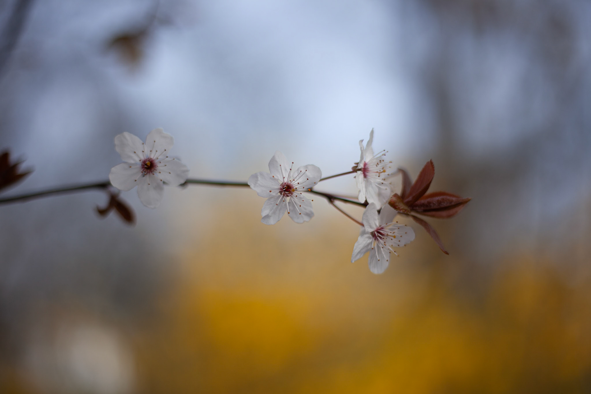 Berlim, Alemanha, 2024.