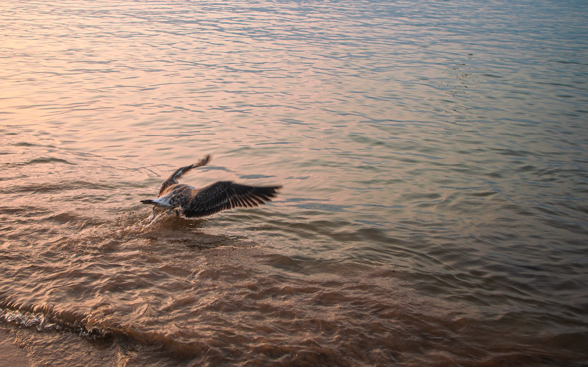 Búzios, RJ, Brasil.