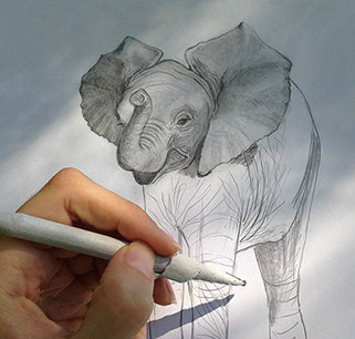 A baby elephant for my nephew's nursery.