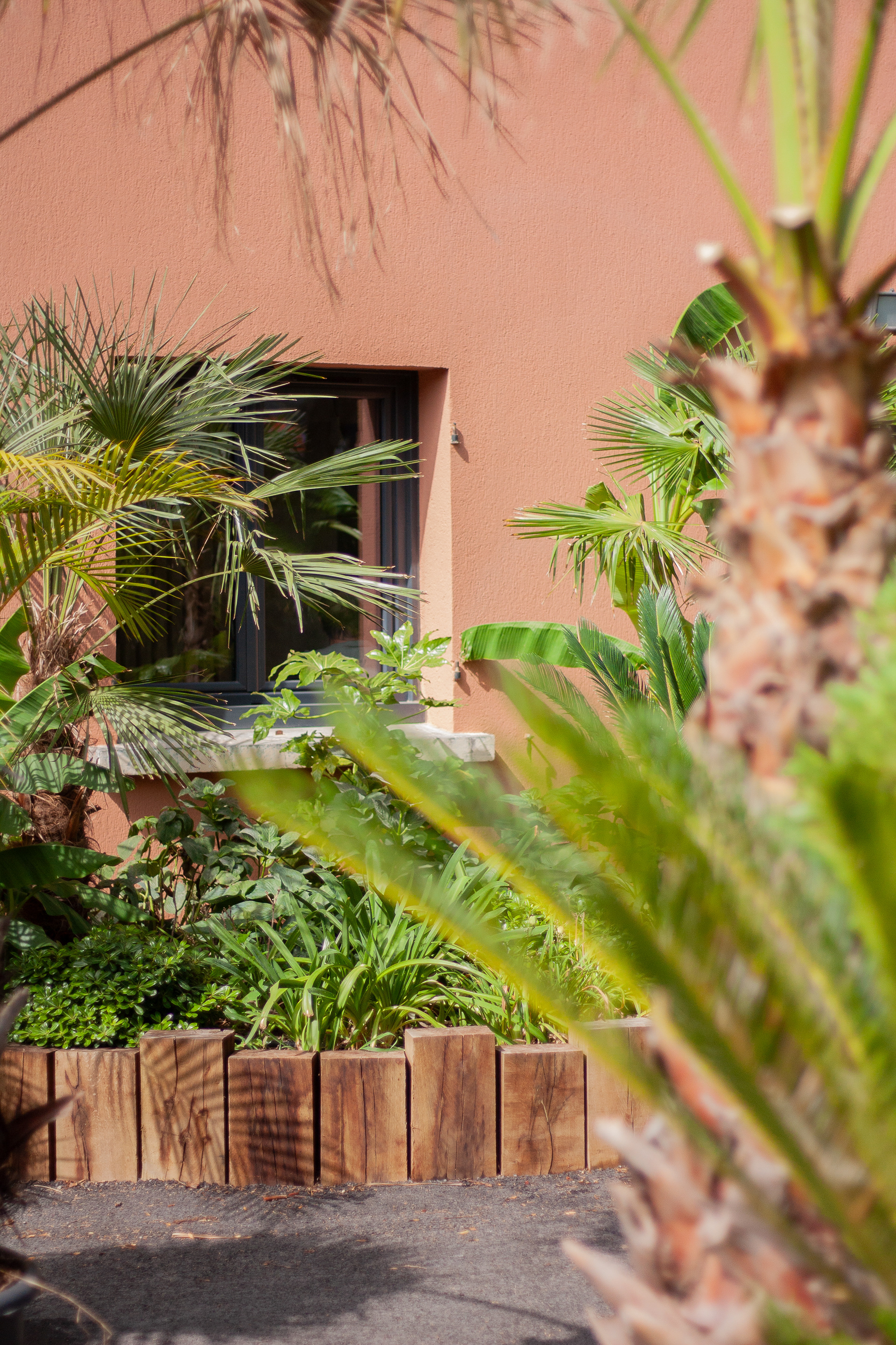 TROPICAL HOUSE