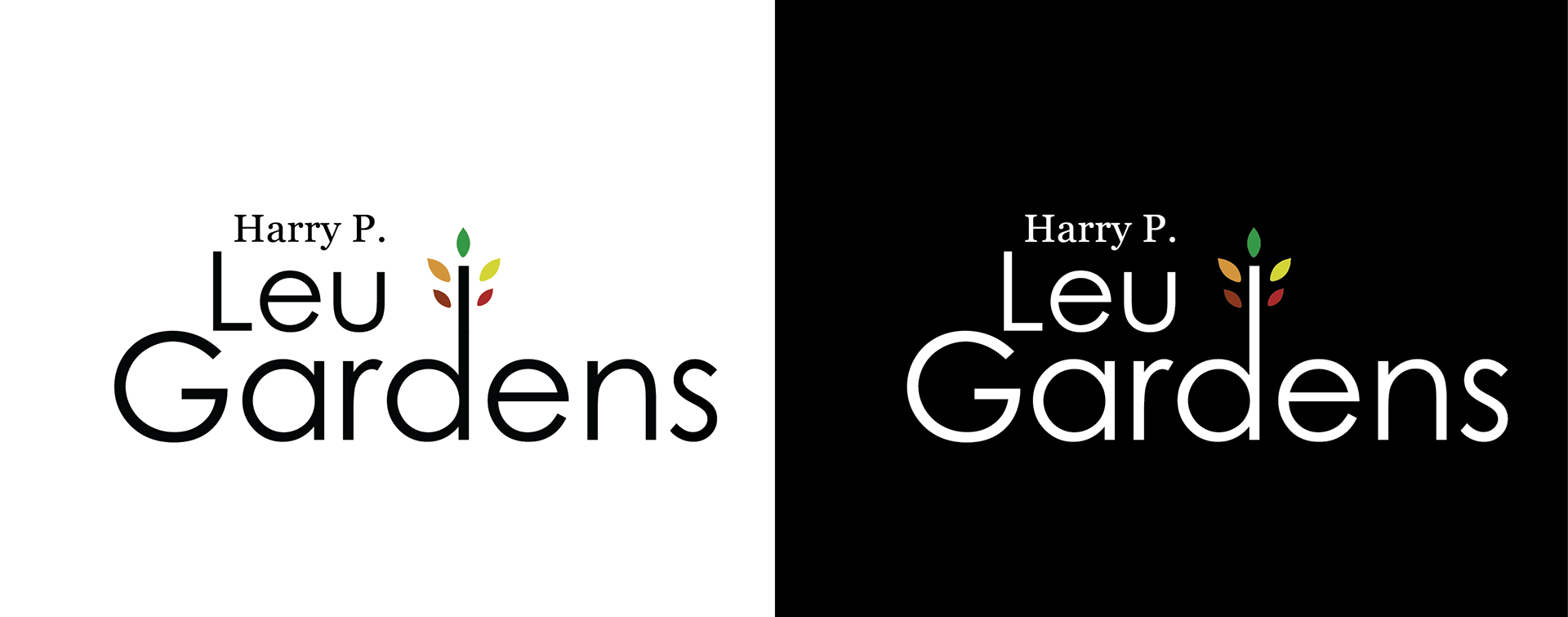 Logo Dark and Light